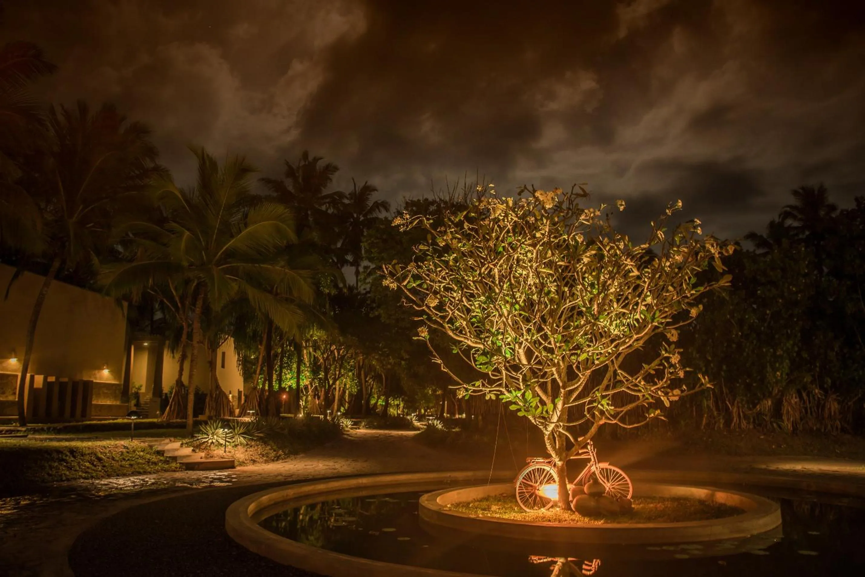 Garden in Buckingham Place