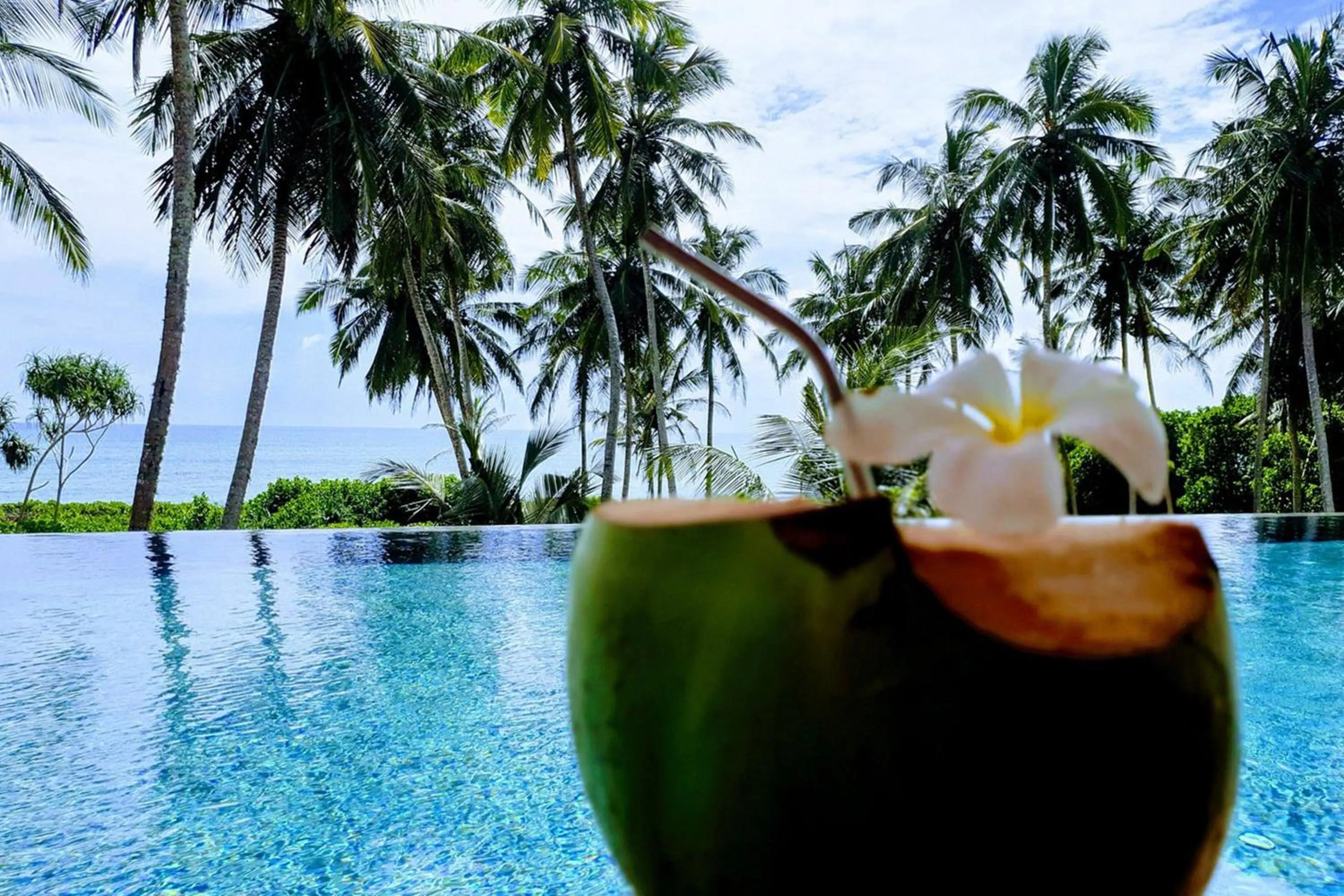 Pool view in Buckingham Place