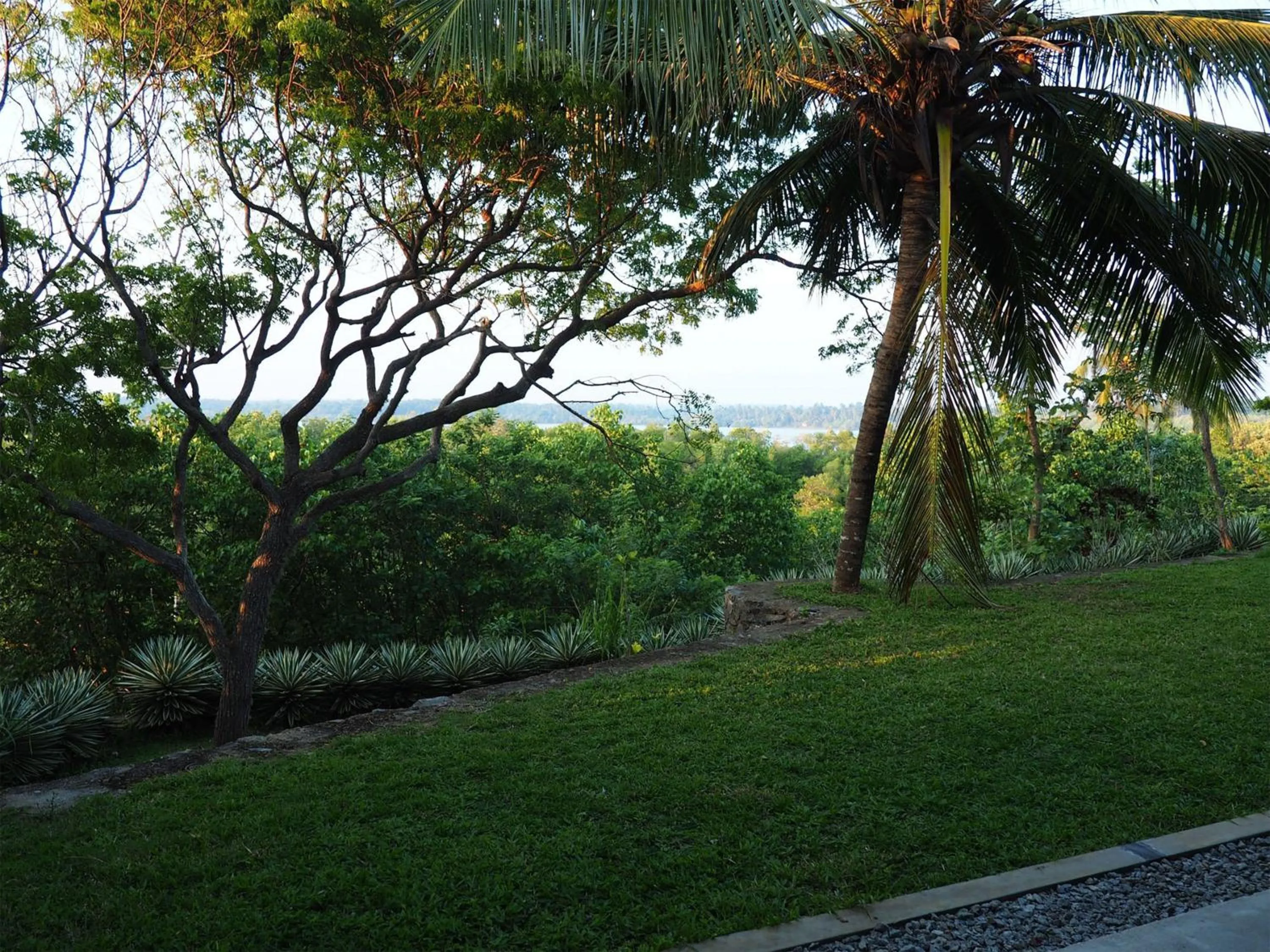 View (from property/room) in Buckingham Place