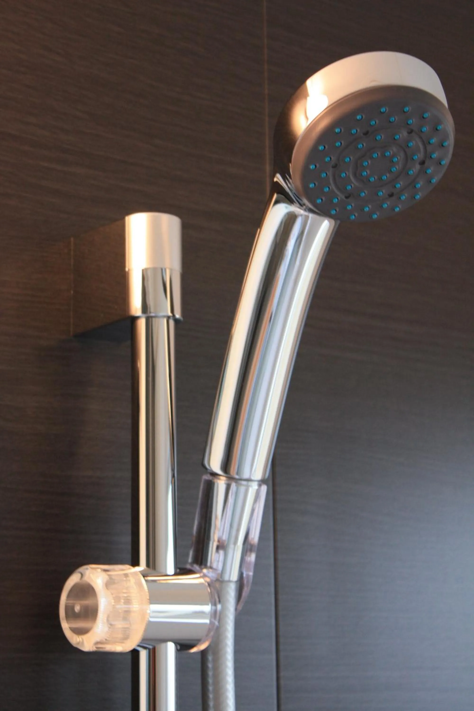 Shower in Tsuru Apartments