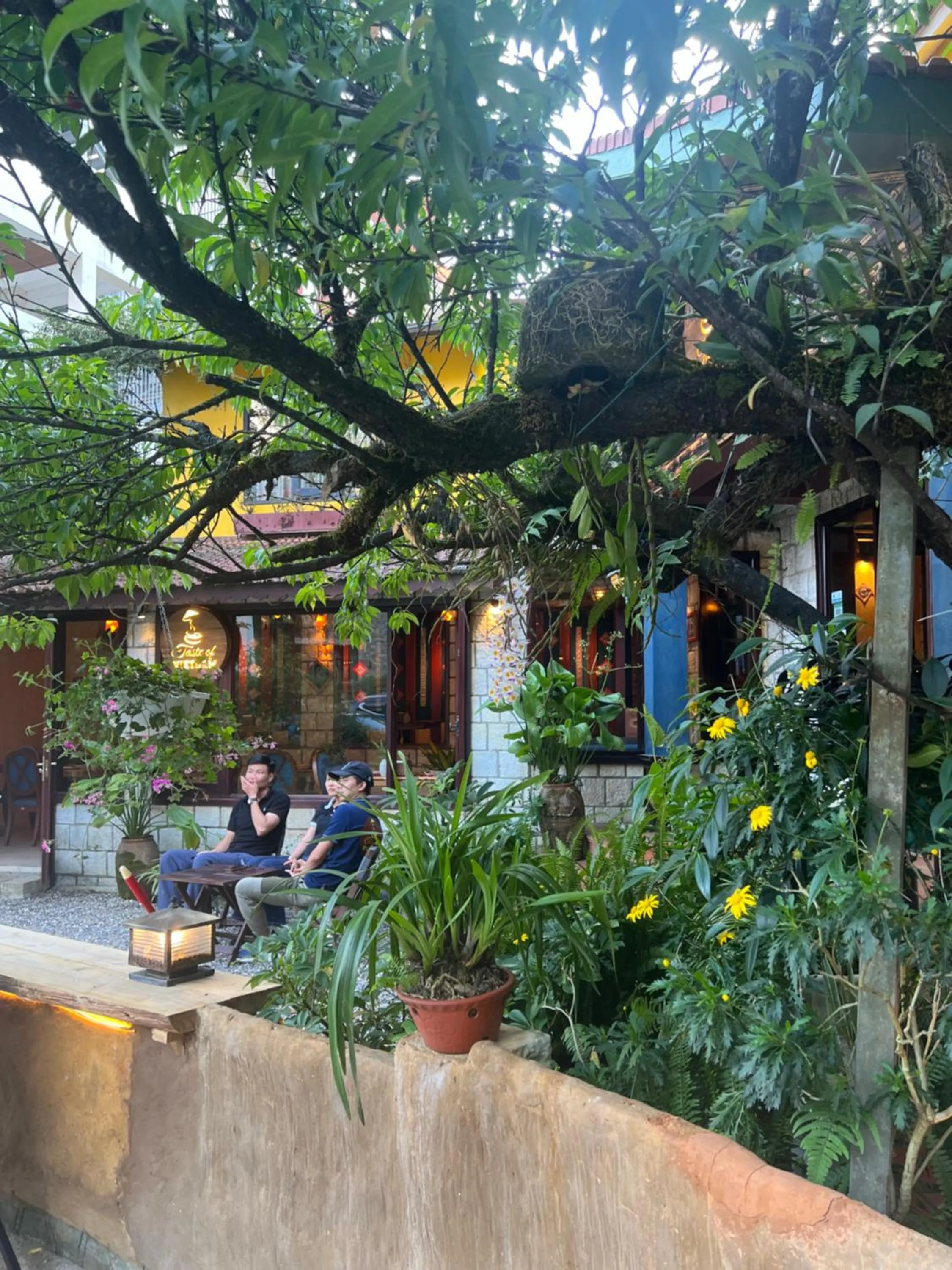 Restaurant/places to eat in Sapa Elegance Hotel