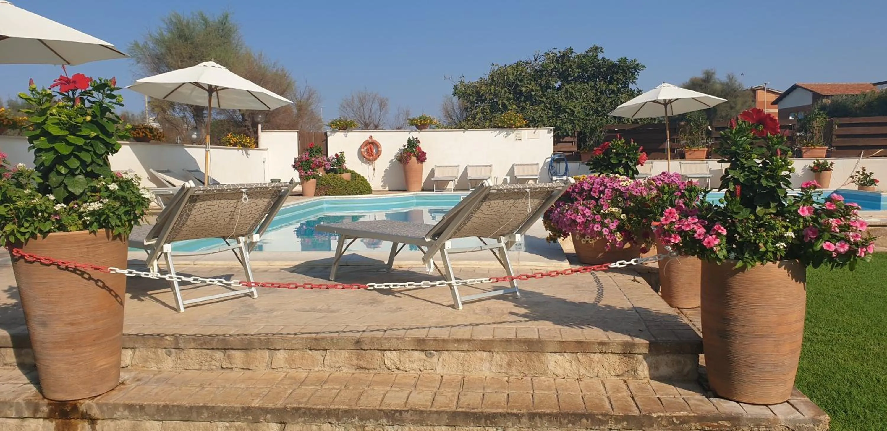 Swimming pool in Hotel Corallo