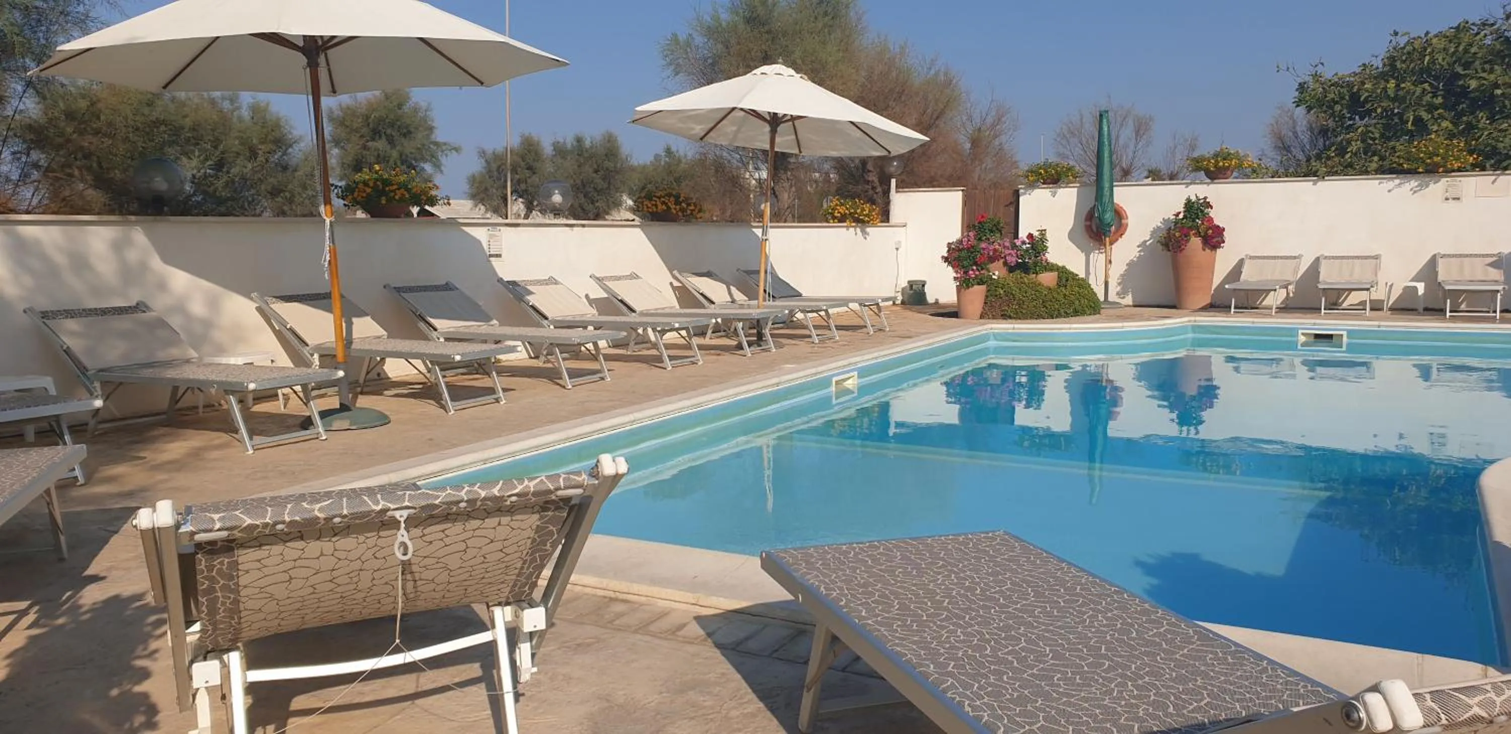 Swimming pool in Hotel Corallo