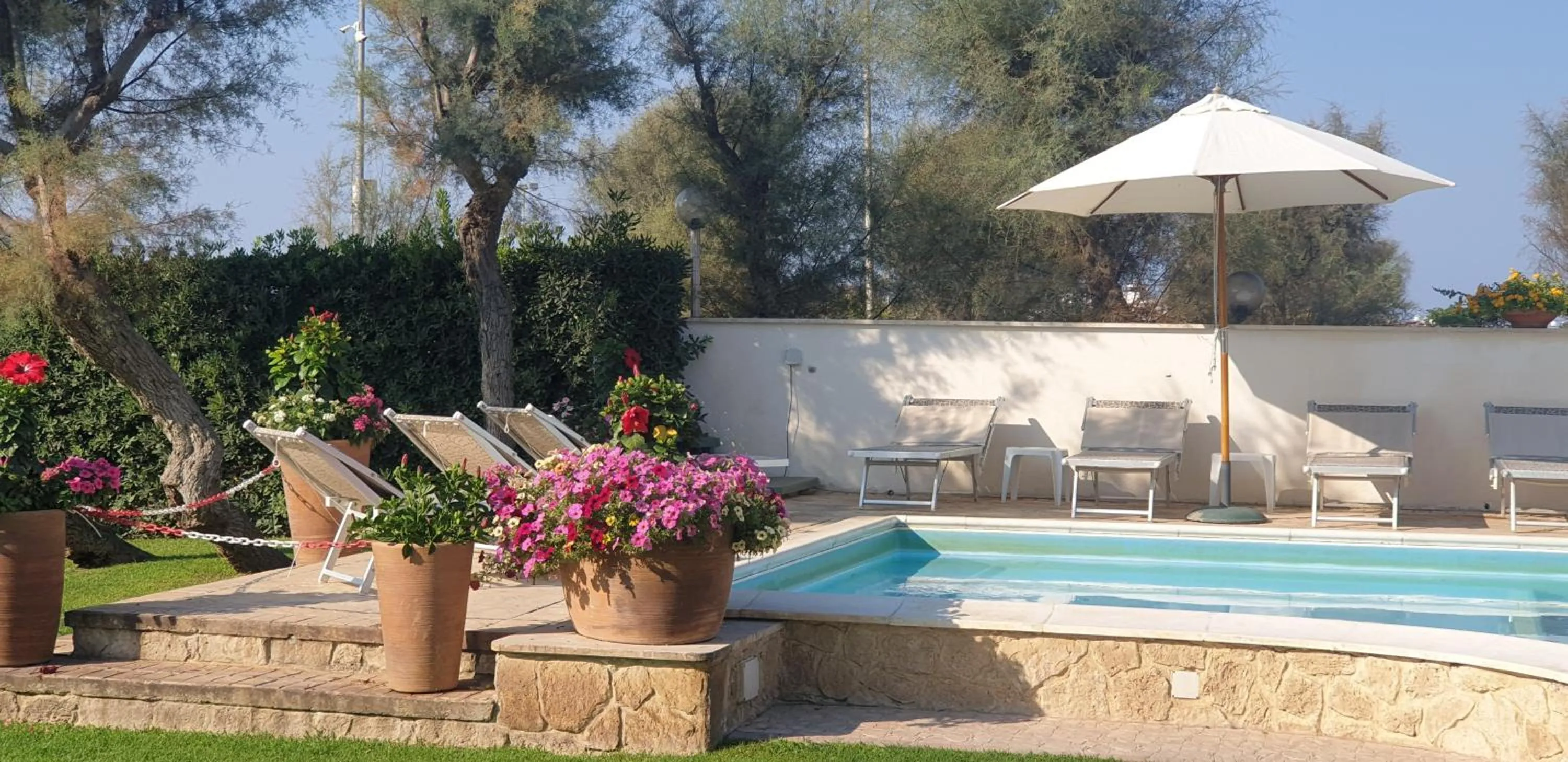 Garden in Hotel Corallo