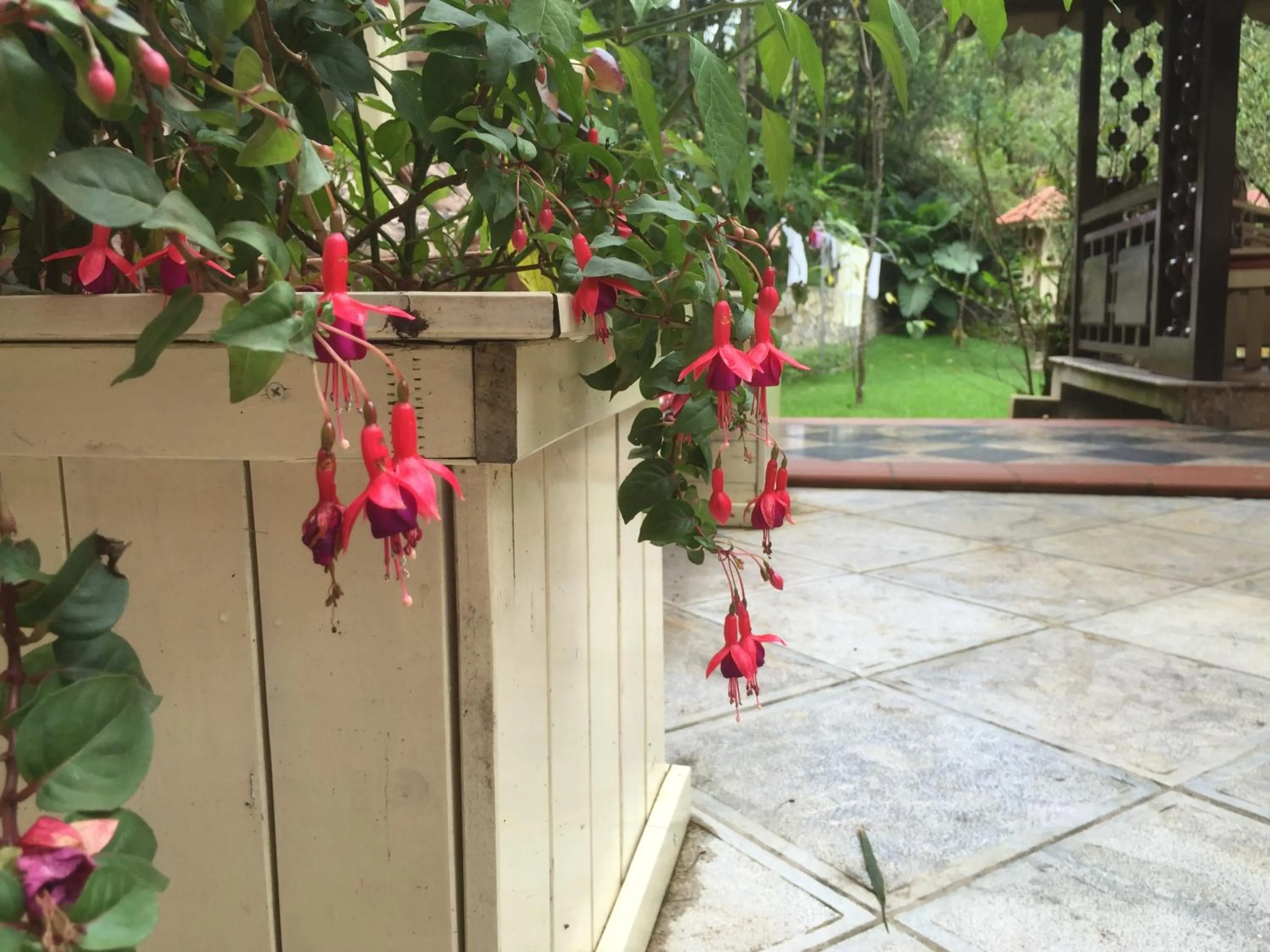 Spring in Sapa Garden Bed and Breakfast