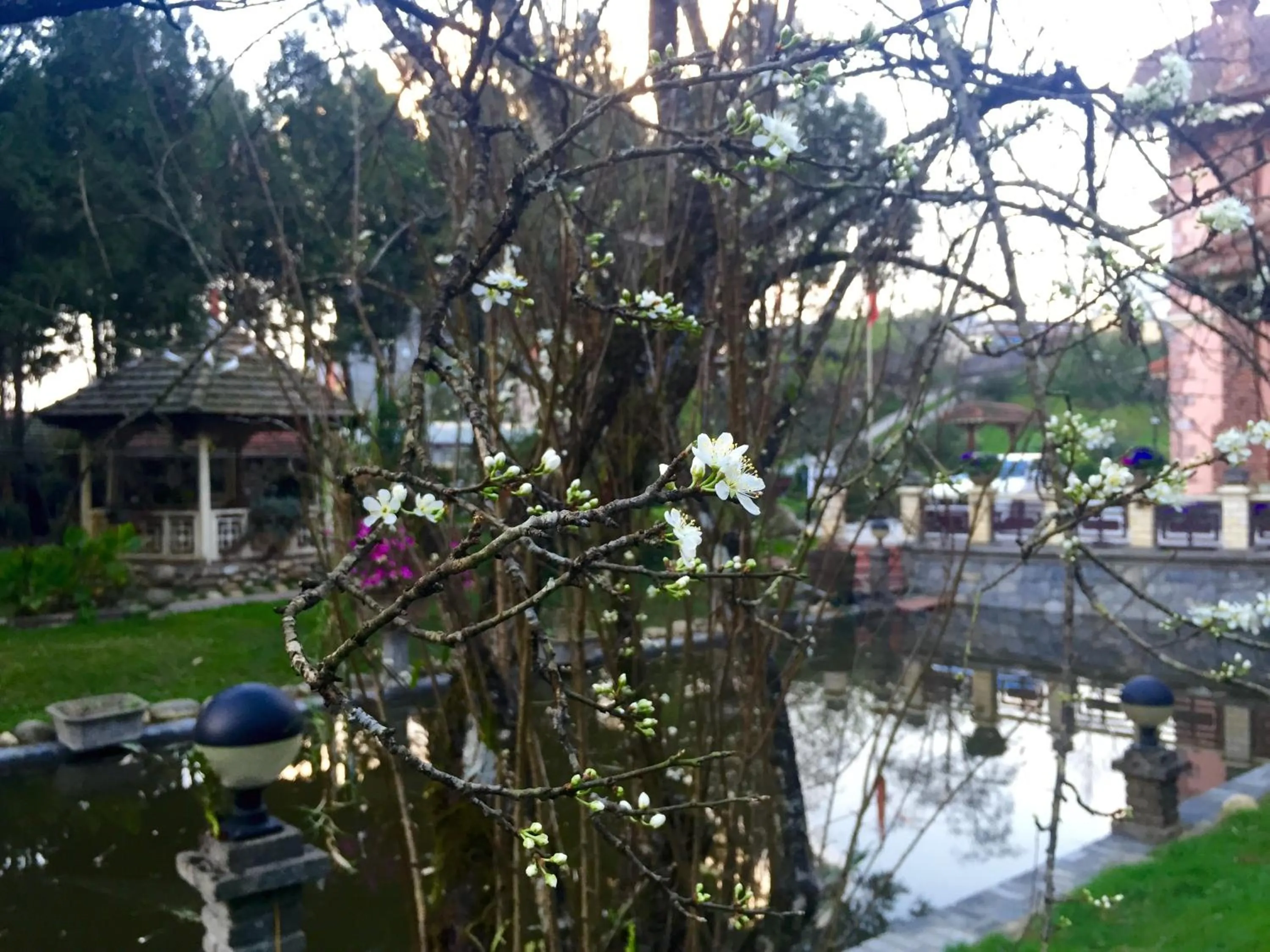 Spring in Sapa Garden Bed and Breakfast