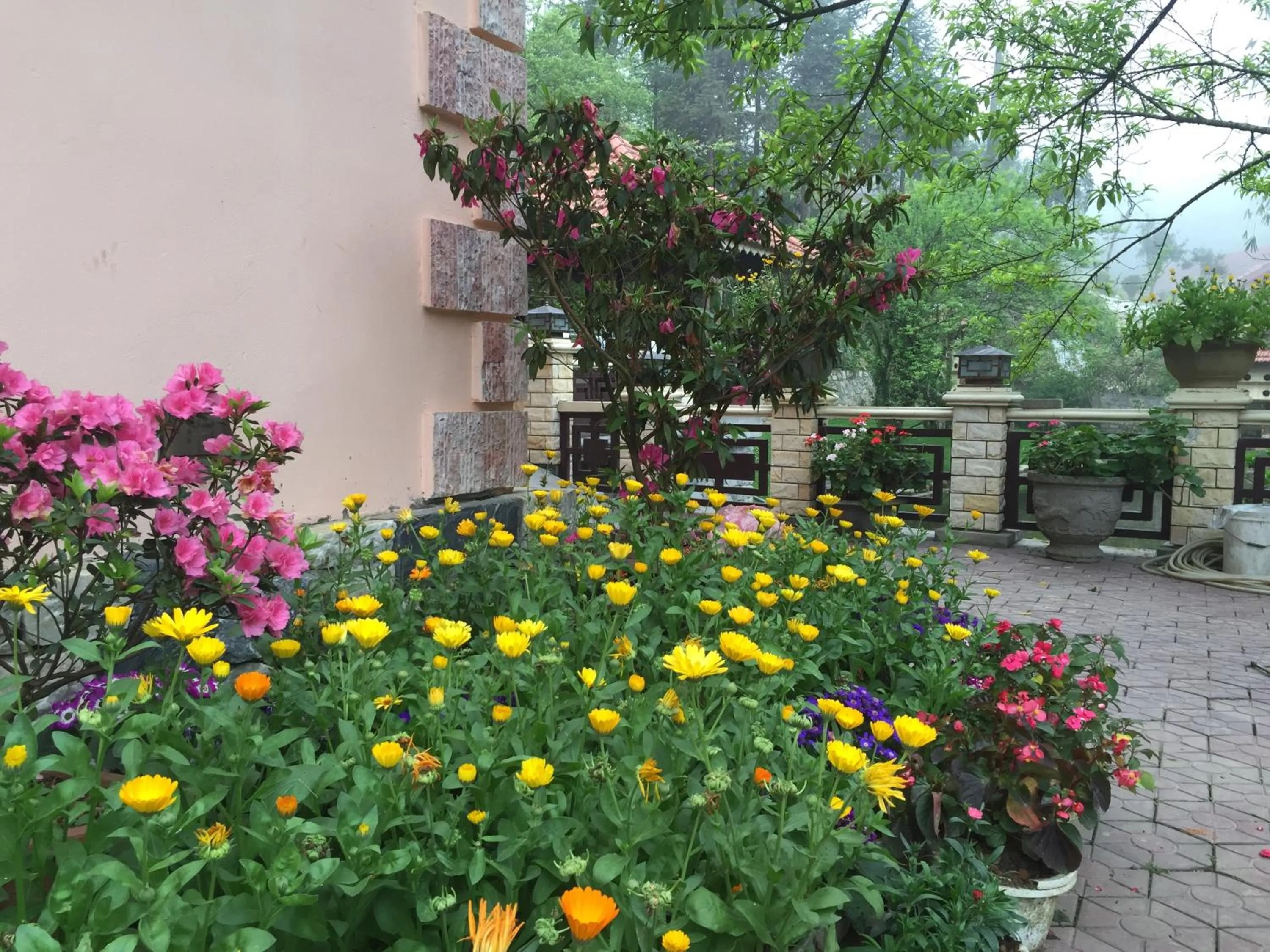 Spring in Sapa Garden Bed and Breakfast