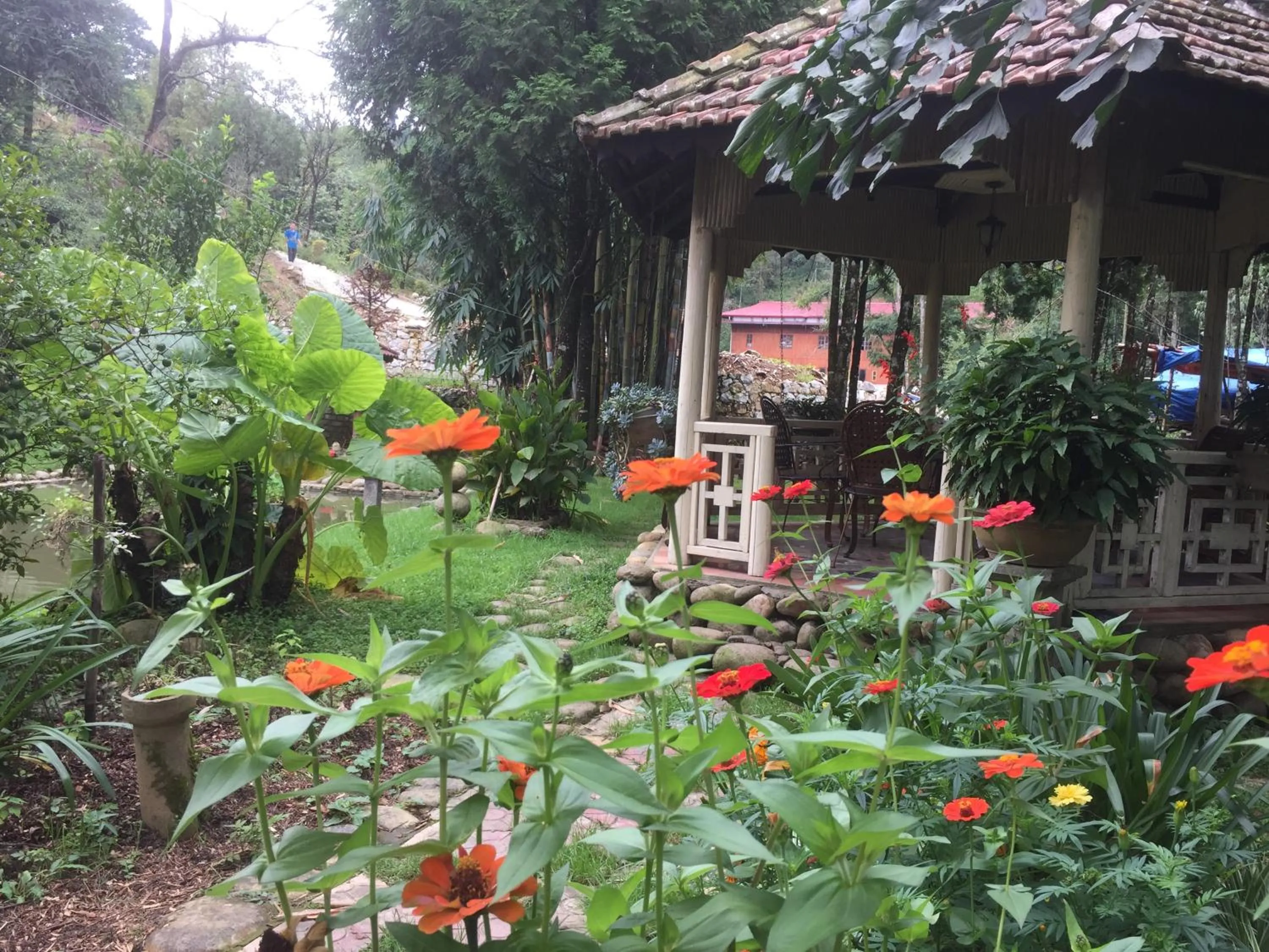 Spring in Sapa Garden Bed and Breakfast