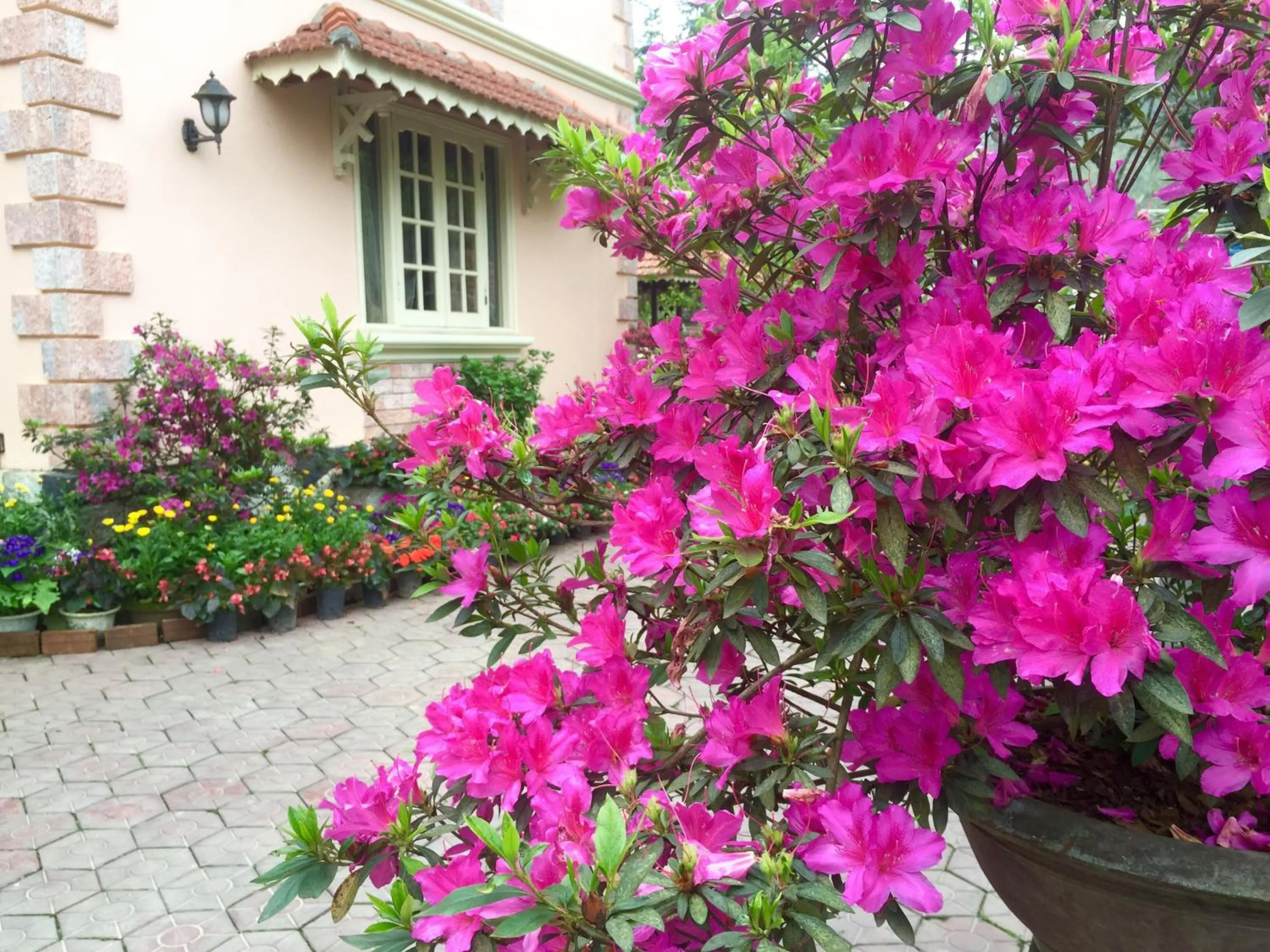 Property building in Sapa Garden Bed and Breakfast