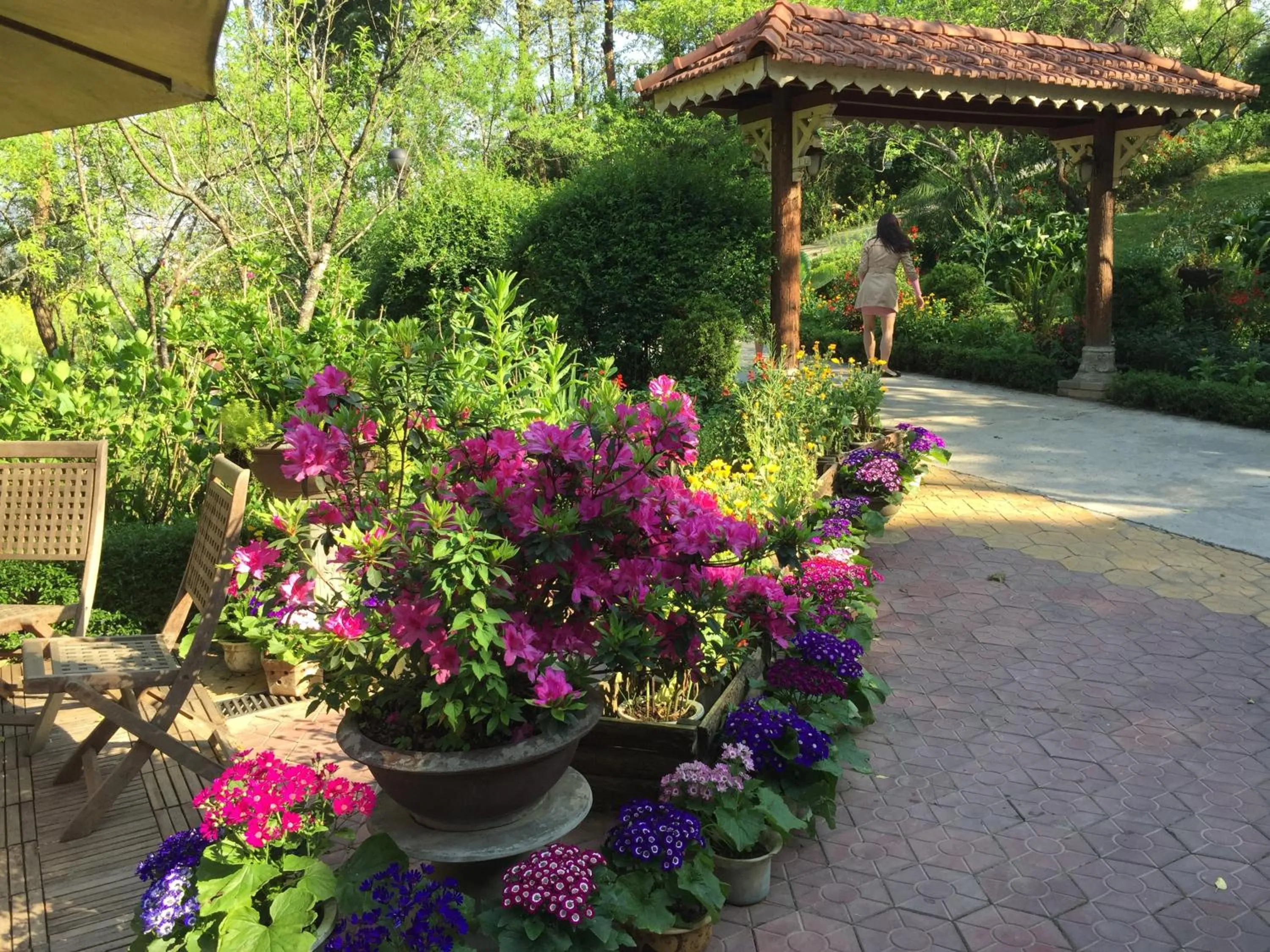 Day in Sapa Garden Bed and Breakfast