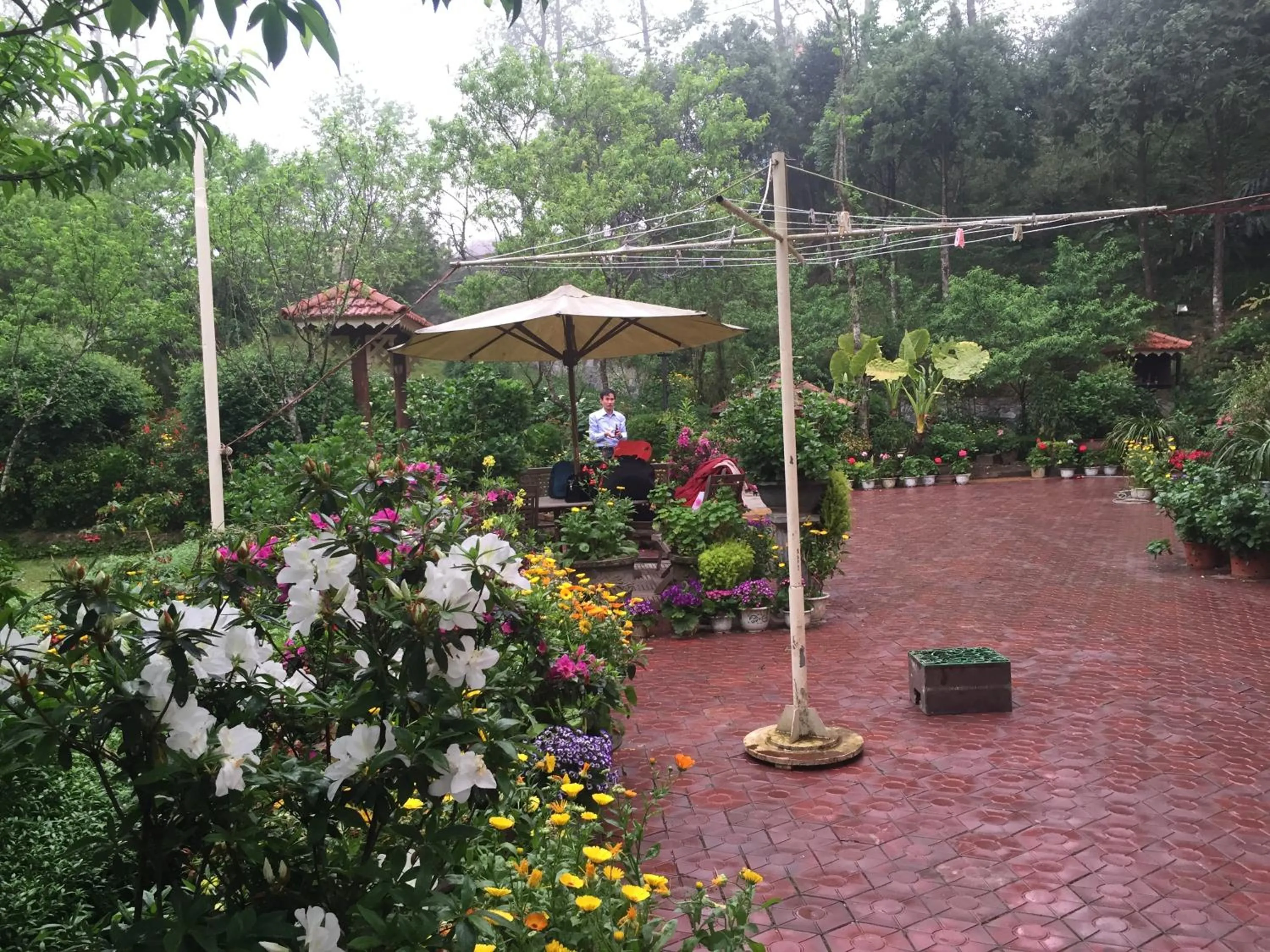 Day in Sapa Garden Bed and Breakfast