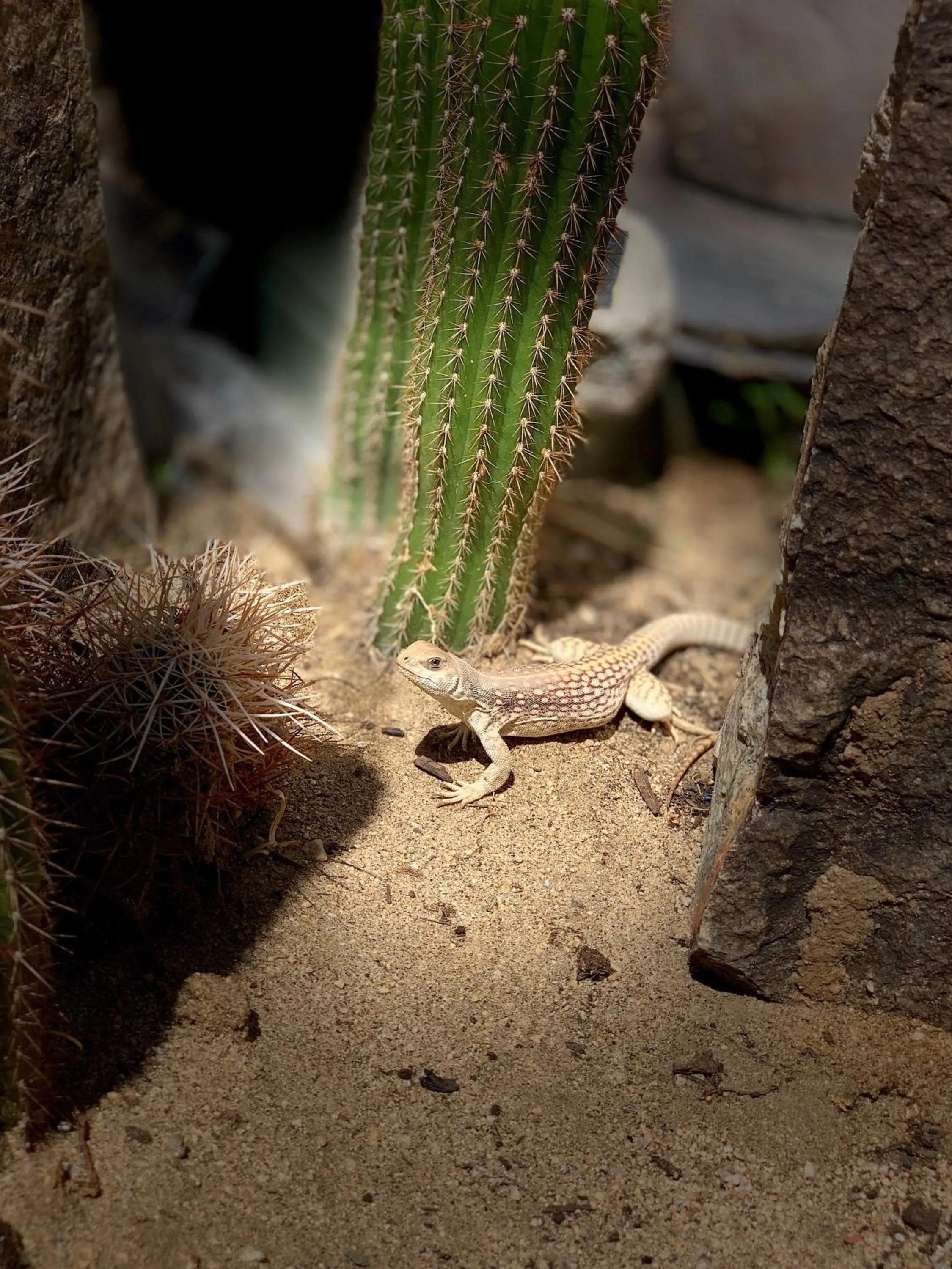 Property building in Casa De Frank