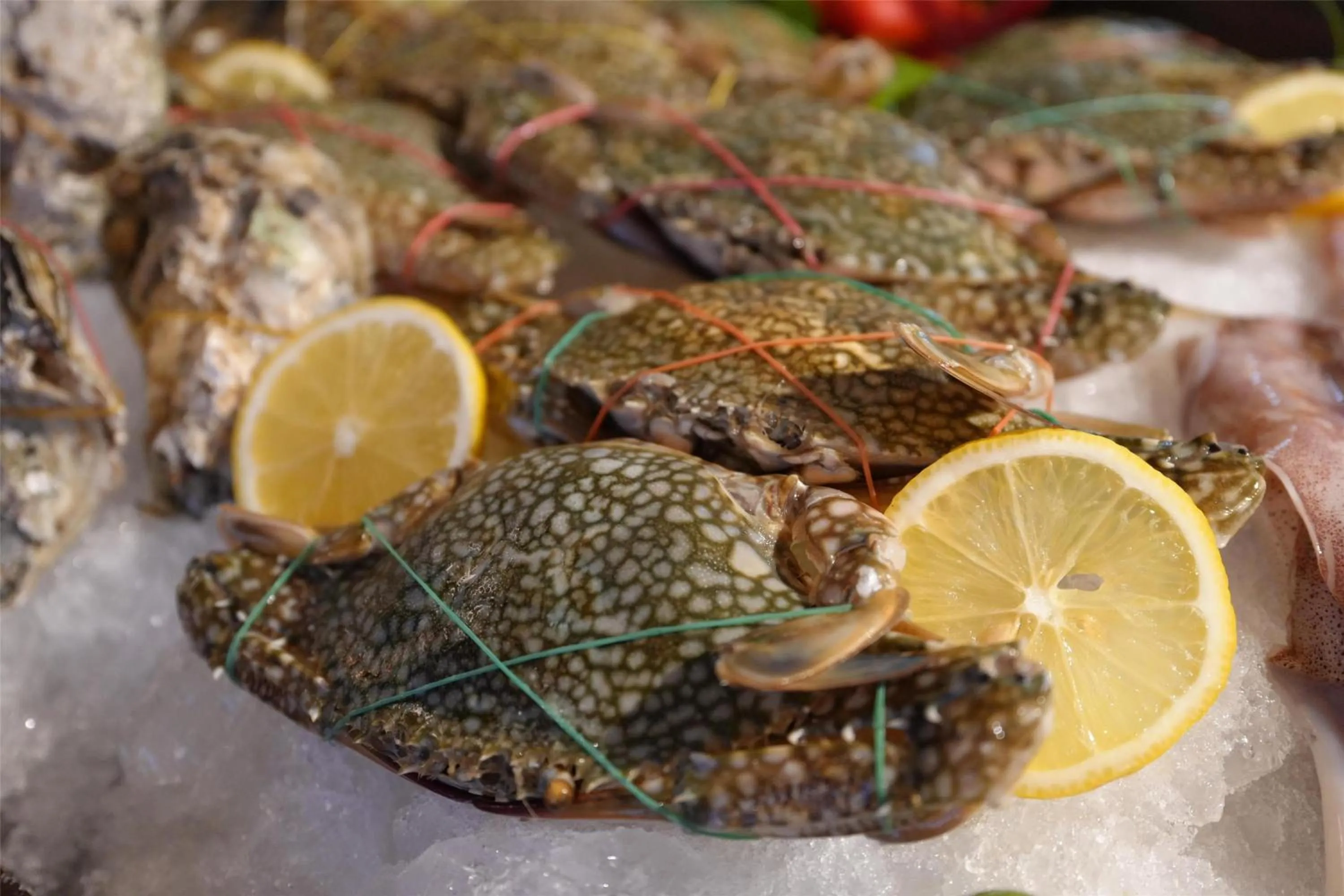 Restaurant/places to eat in Conrad Koh Samui