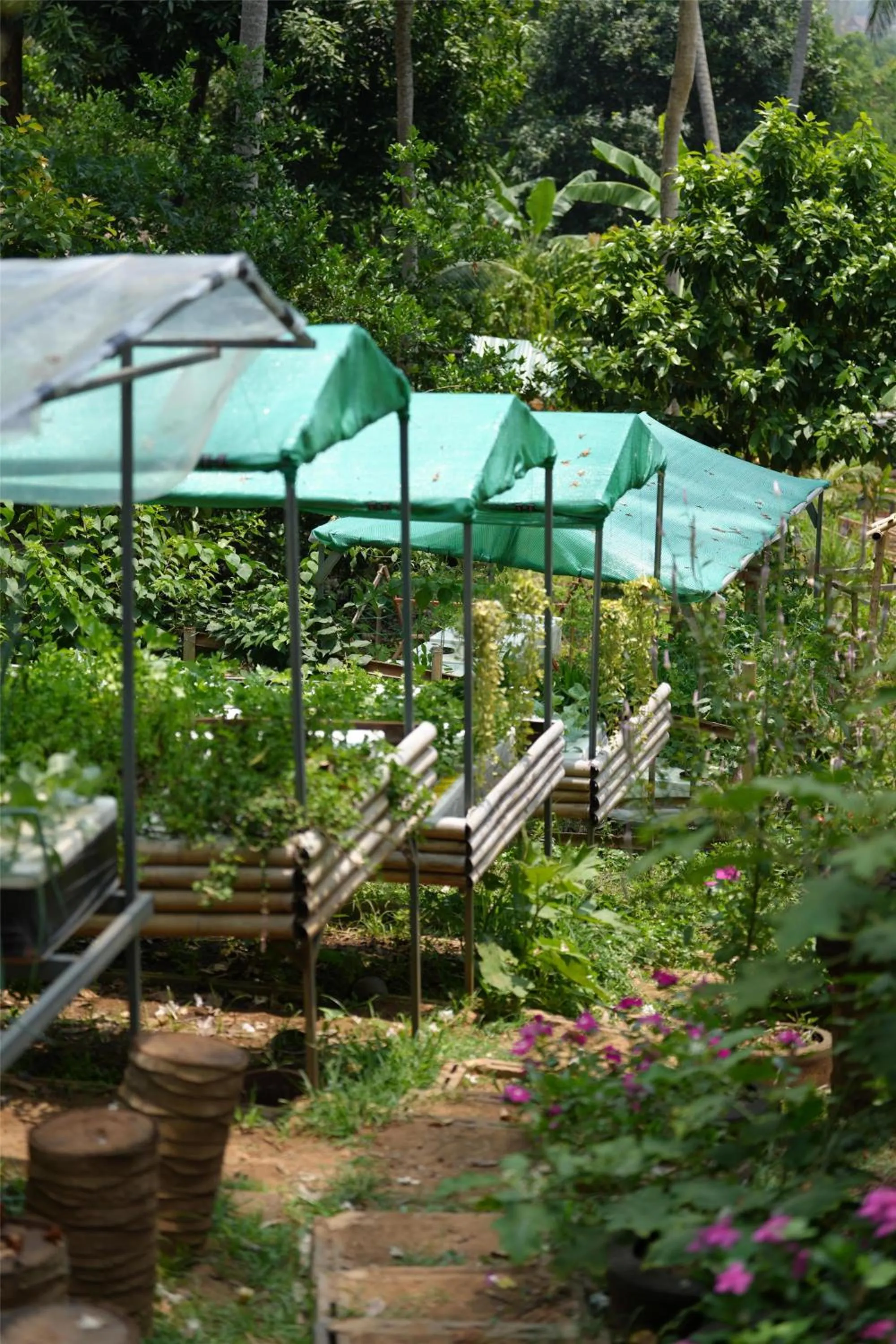 Activities in Conrad Koh Samui