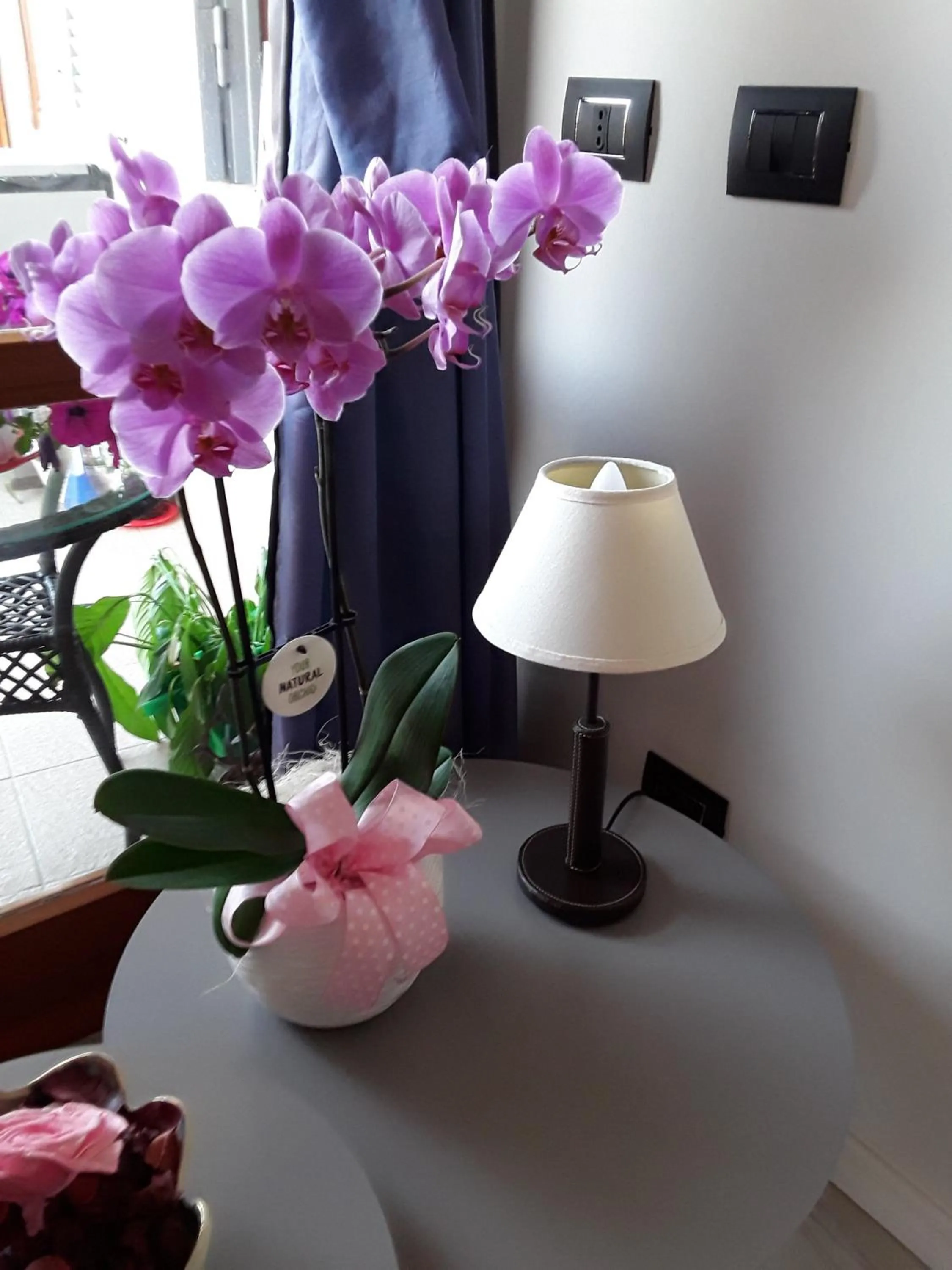 B & B La Terrazza sul mare