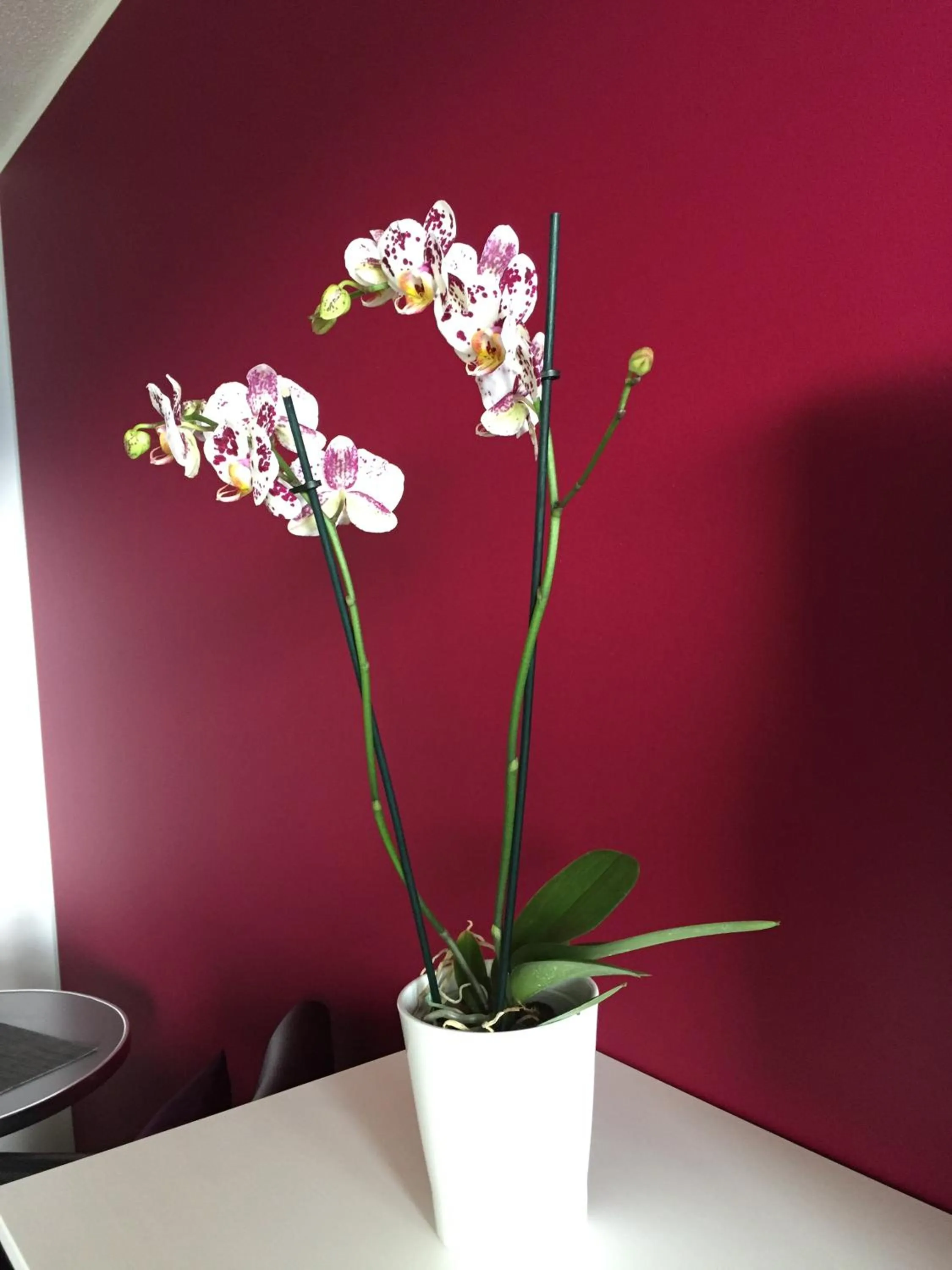 Decorative detail in Apartments Seeblick mit Anbindung an ein 4-Sterne-Hotel