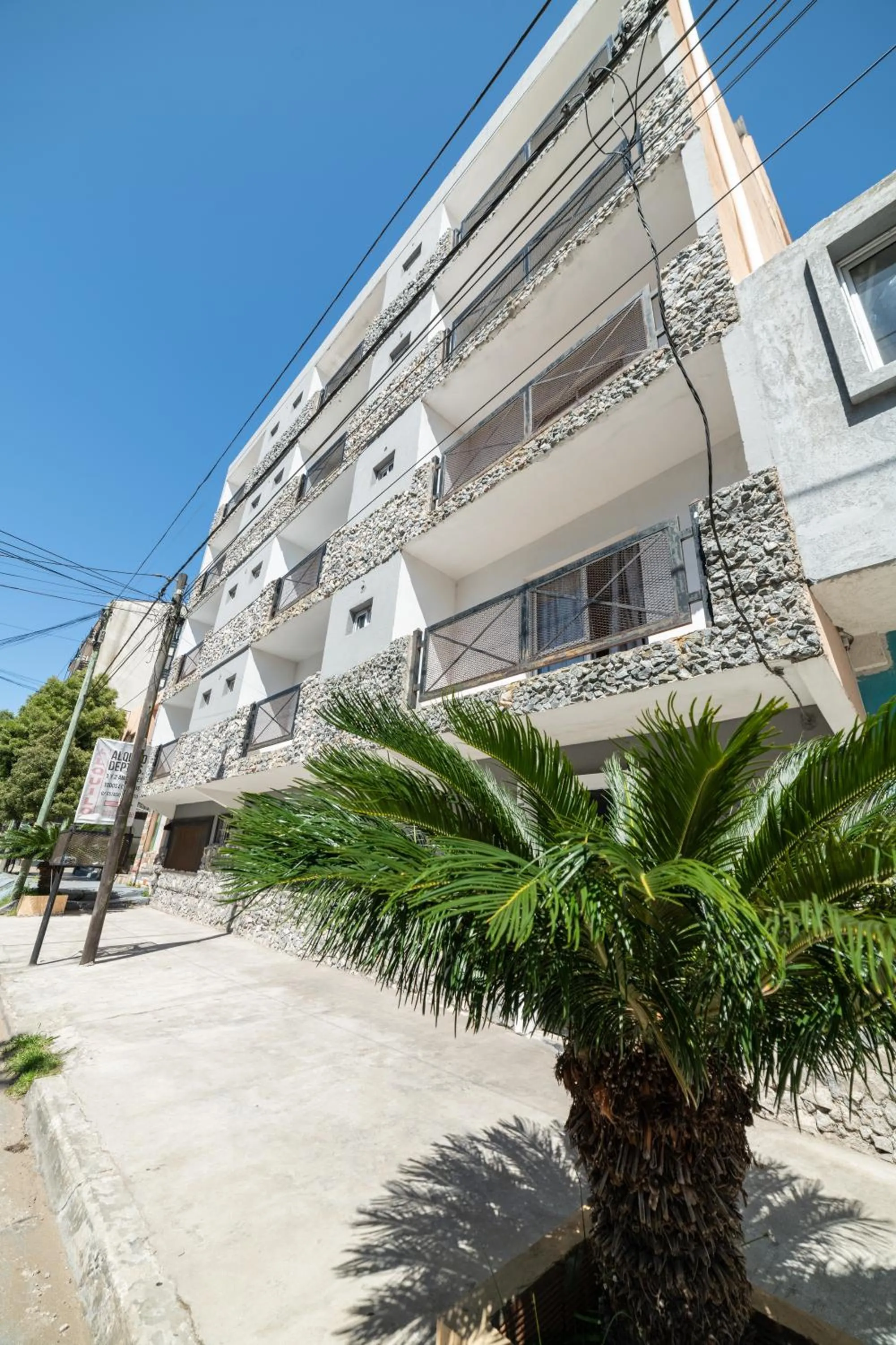 Palmeras Departamentos