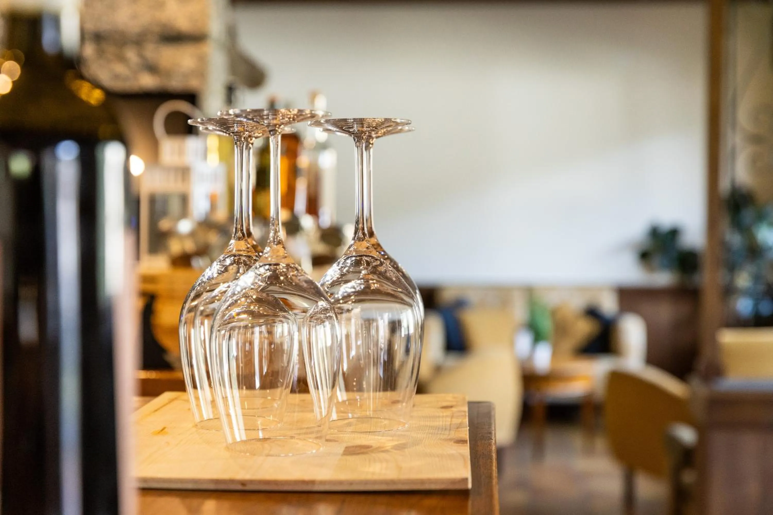 Lounge or bar in Hotel Cardo