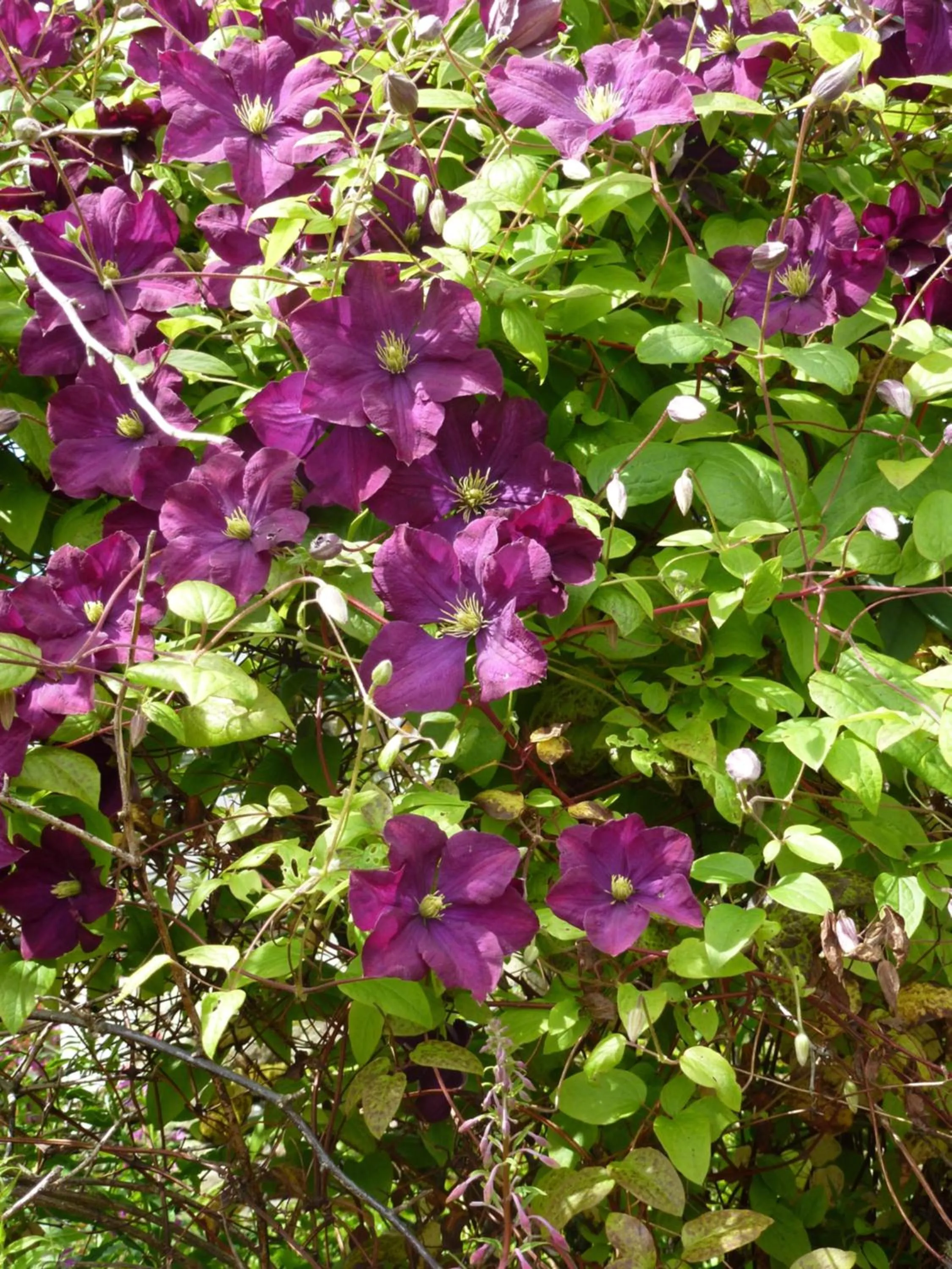 Logo/Certificate/Sign in Home Farm Bed and Breakfast