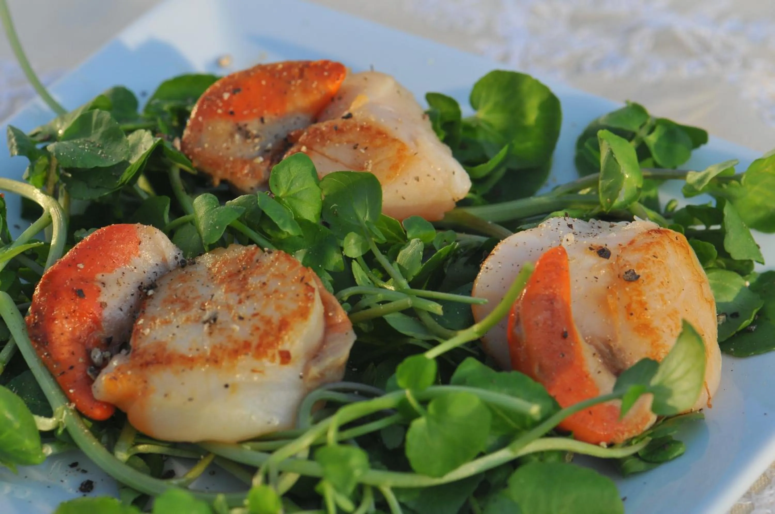 Dinner in Home Farm Bed and Breakfast