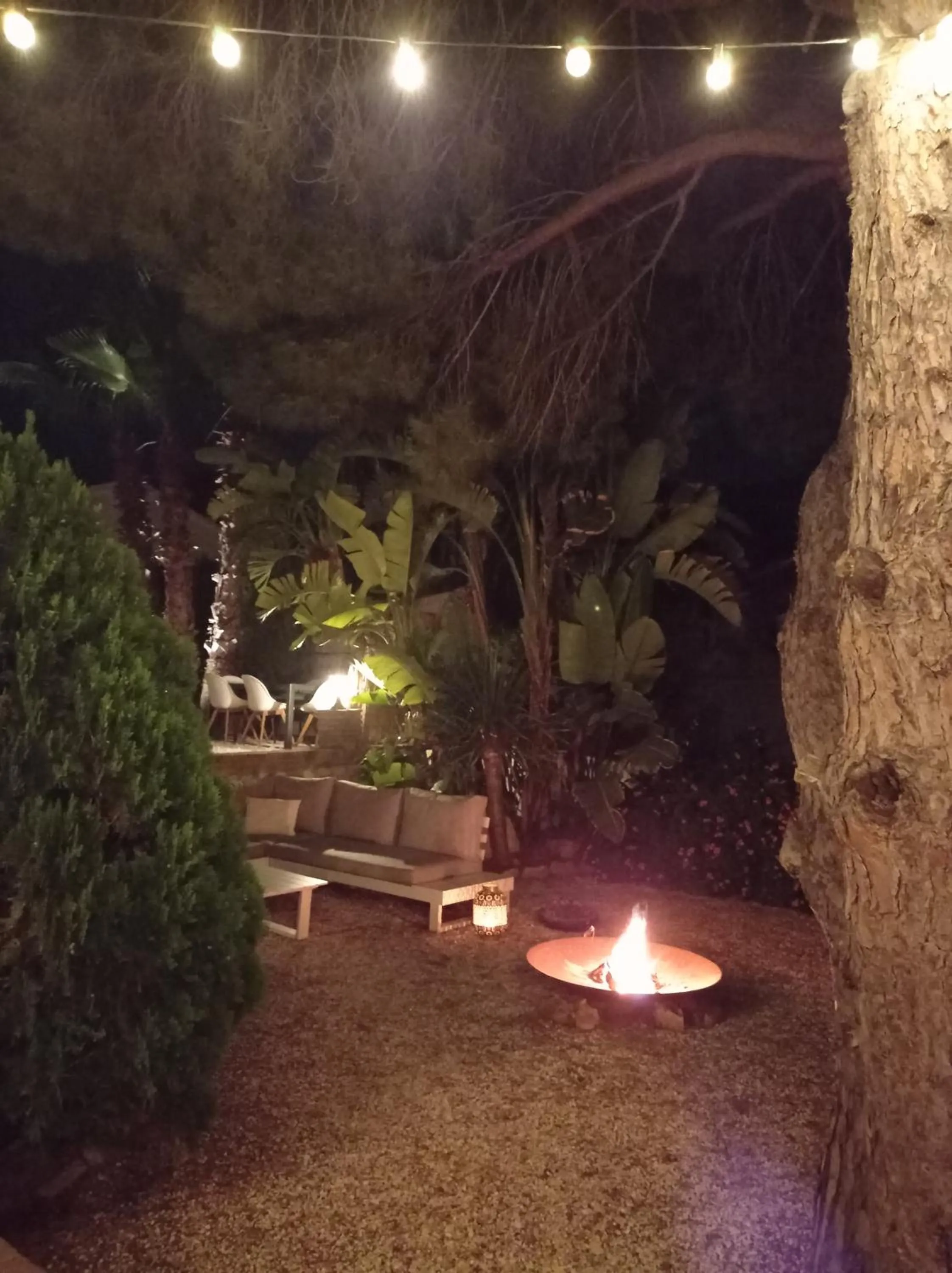 Garden in B&B Villa Pinos Málaga