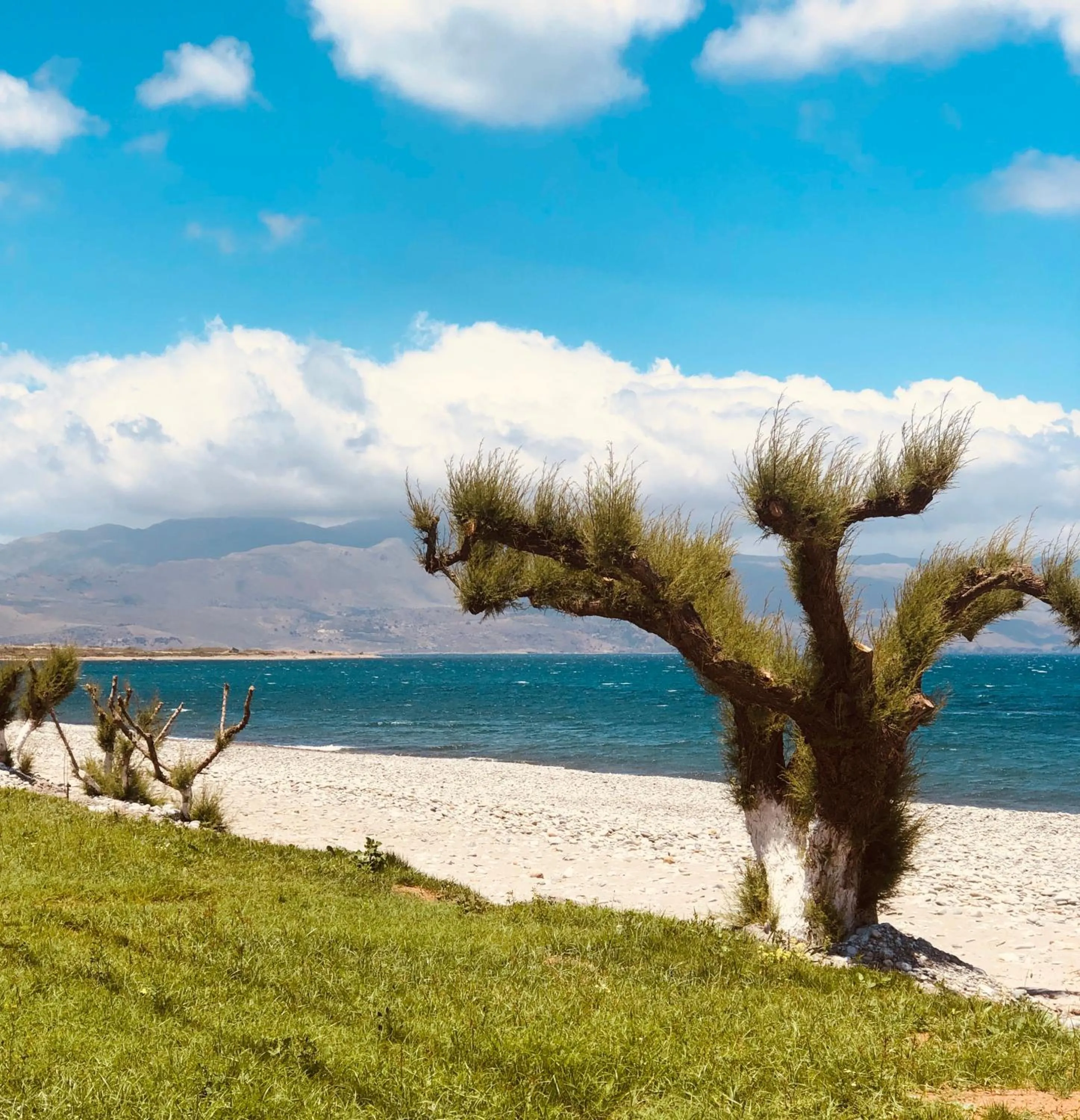 Beach in Solon Apartments