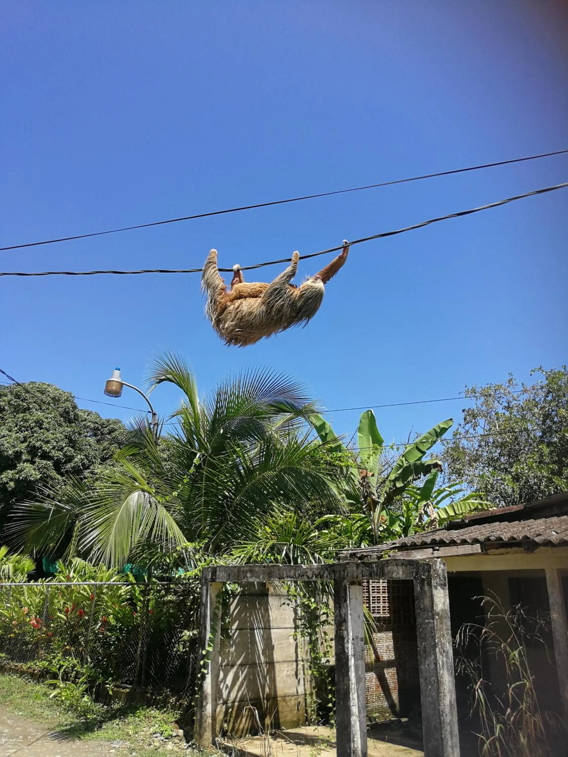 Street view in Secret Garden