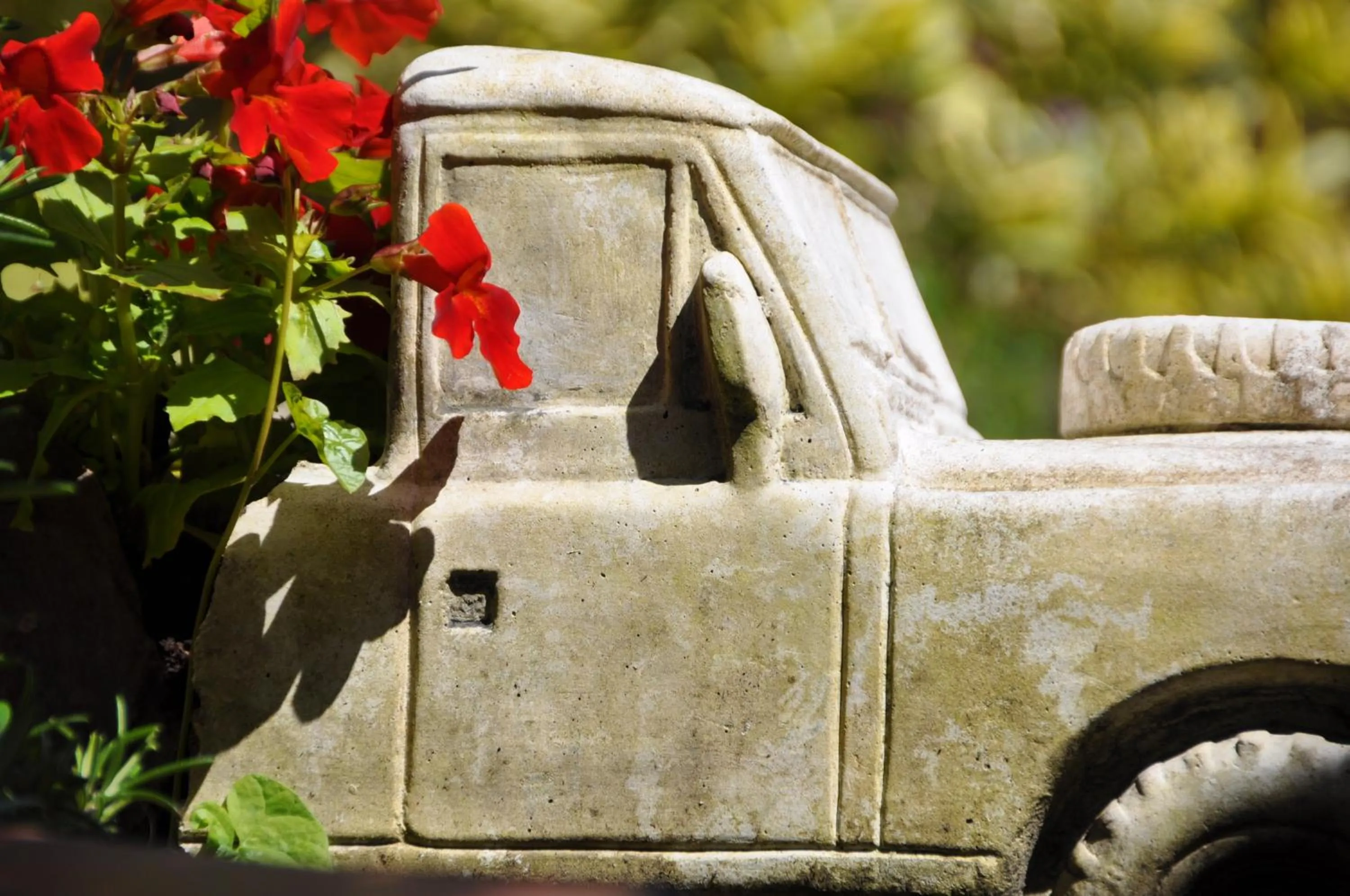 Garden in Quinlan & Cooke Boutique Townhouse and QCs Seafood Restaurant