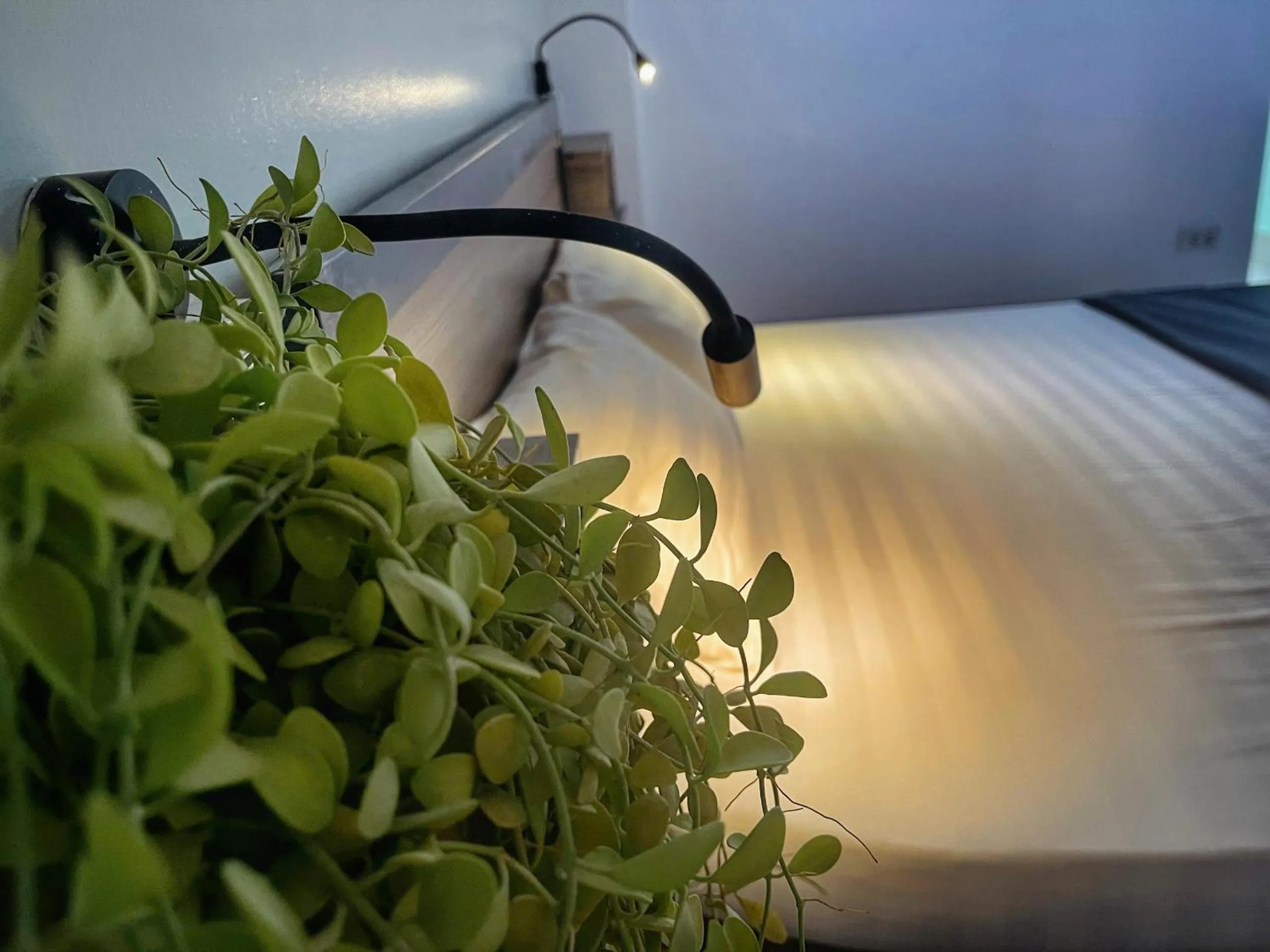 Hanoi EcoStay 2 hostel