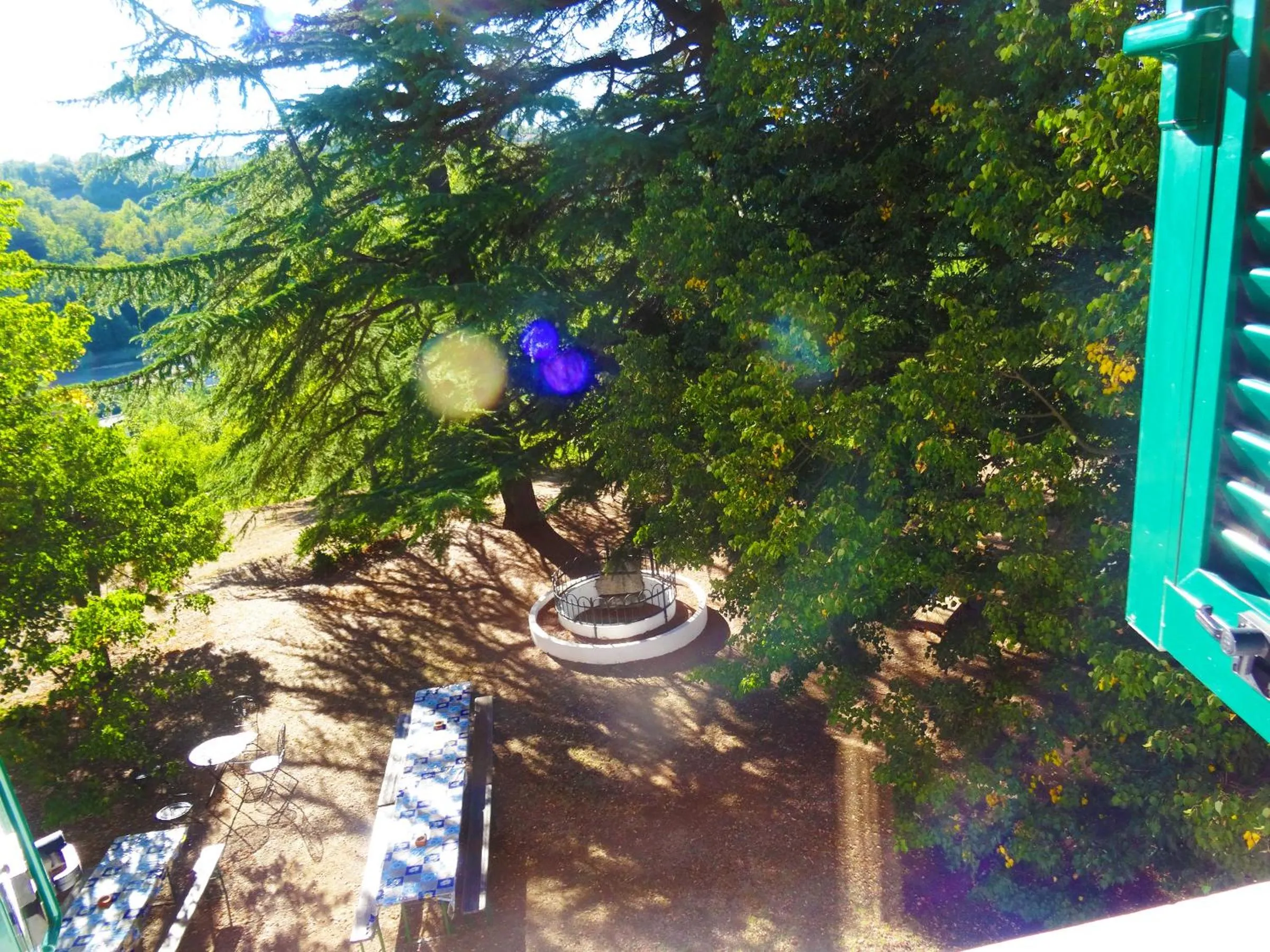 Garden view in La Celestina