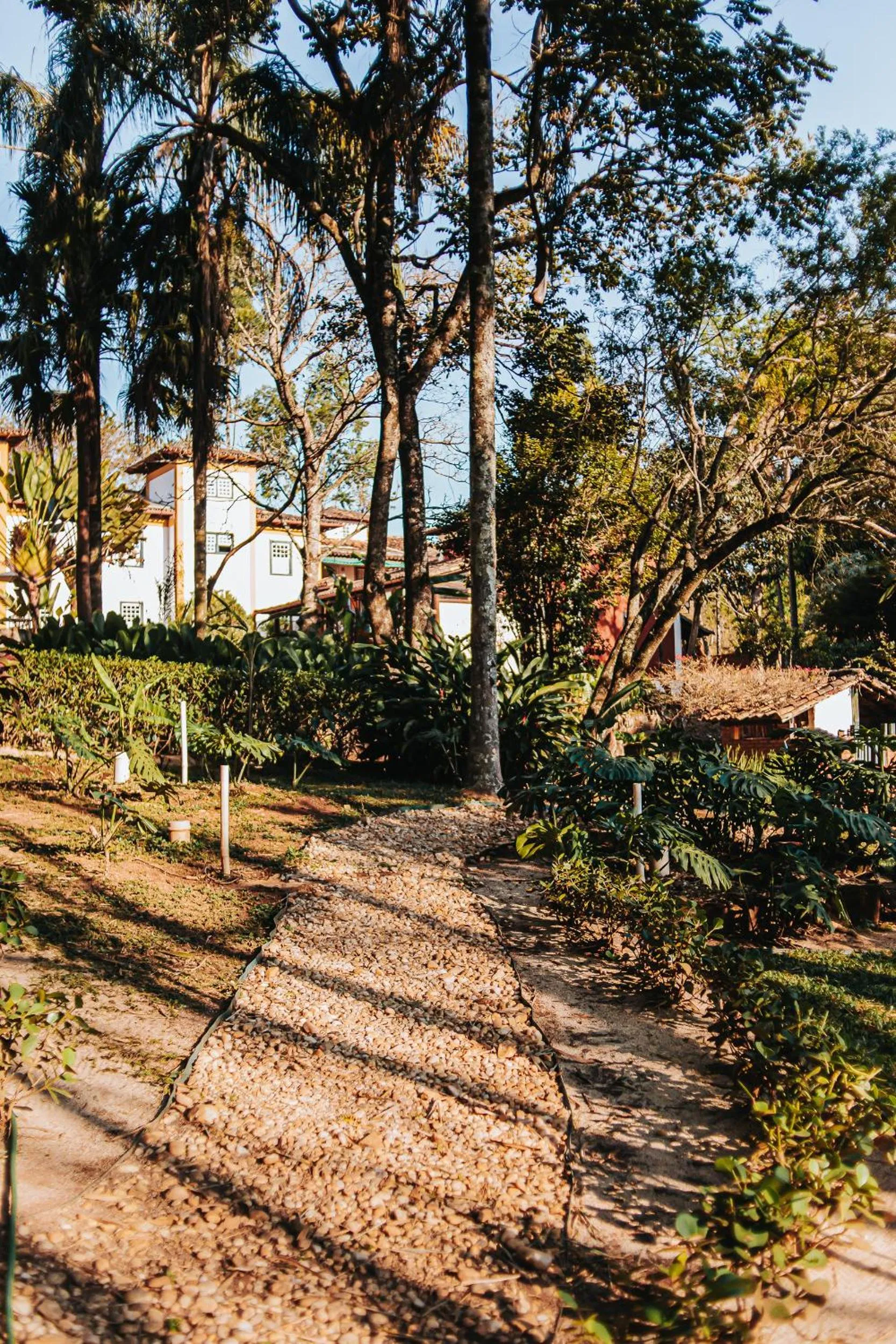 Garden in Pousada d'Oleo de Guignard