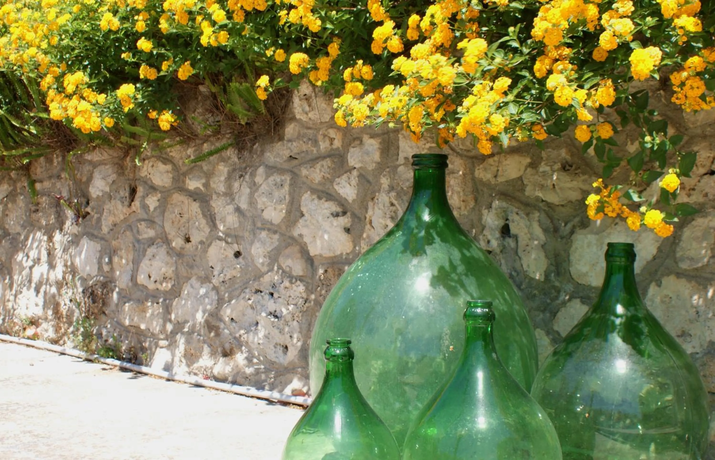 Decorative detail in Residence Conchiglia San Giovanni