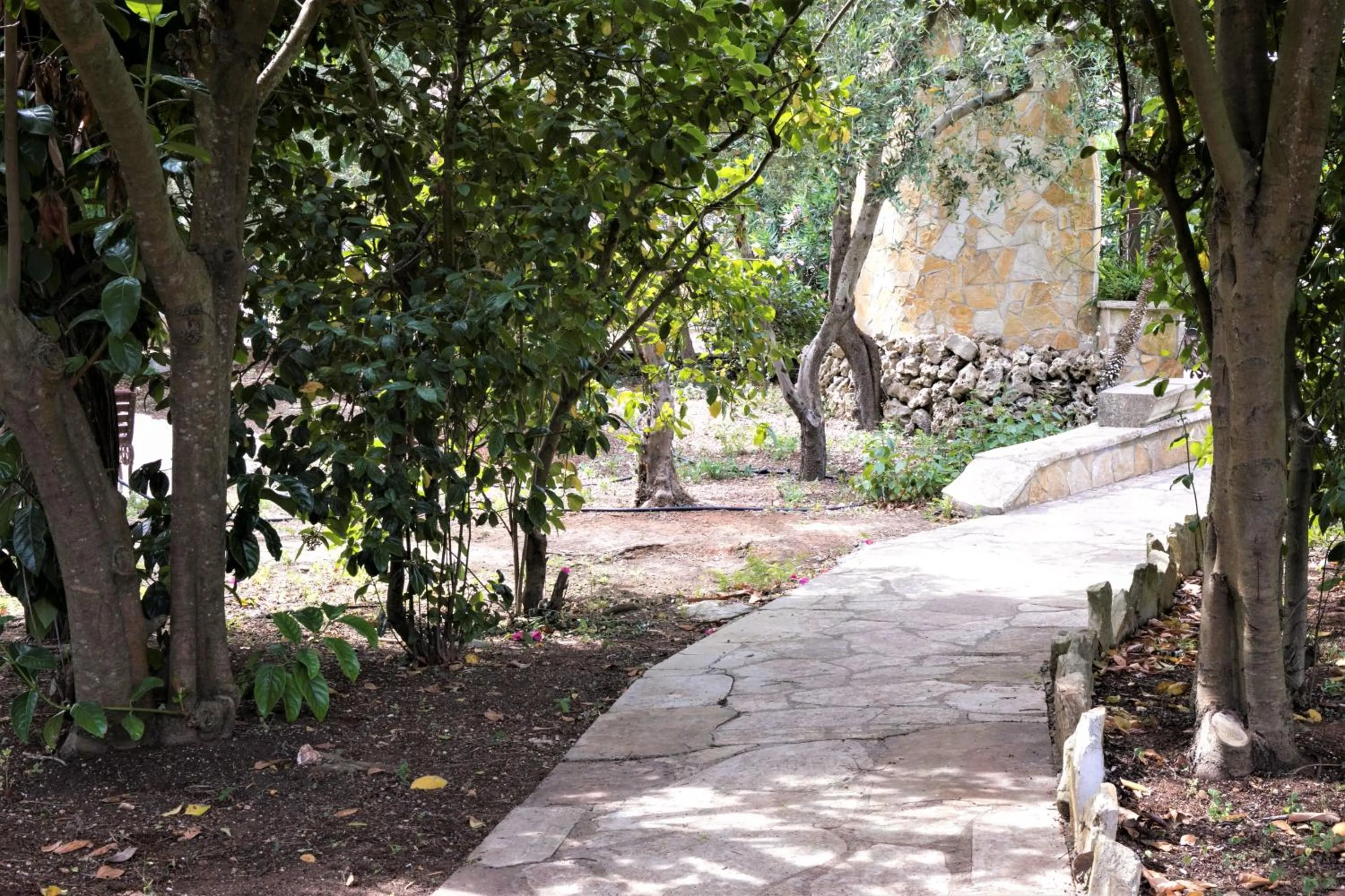 Area and facilities in Residence Conchiglia San Giovanni