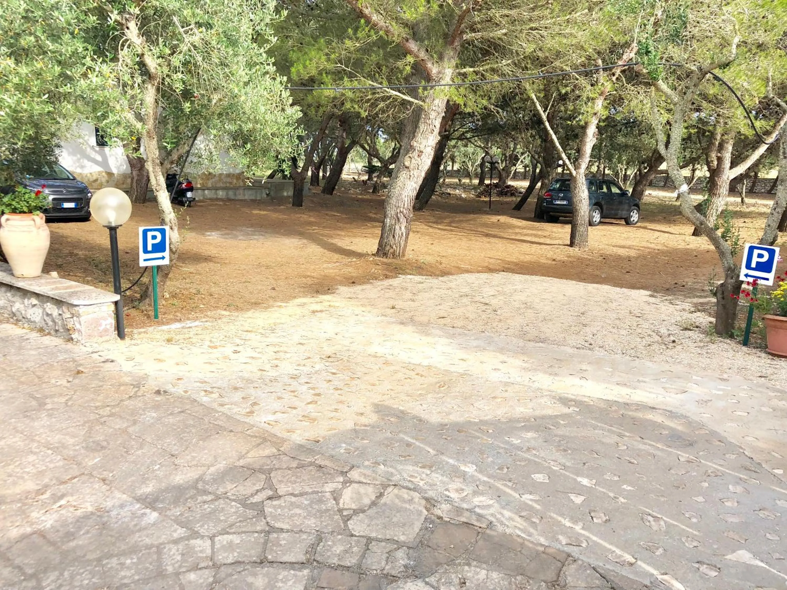 Area and facilities in Residence Conchiglia San Giovanni