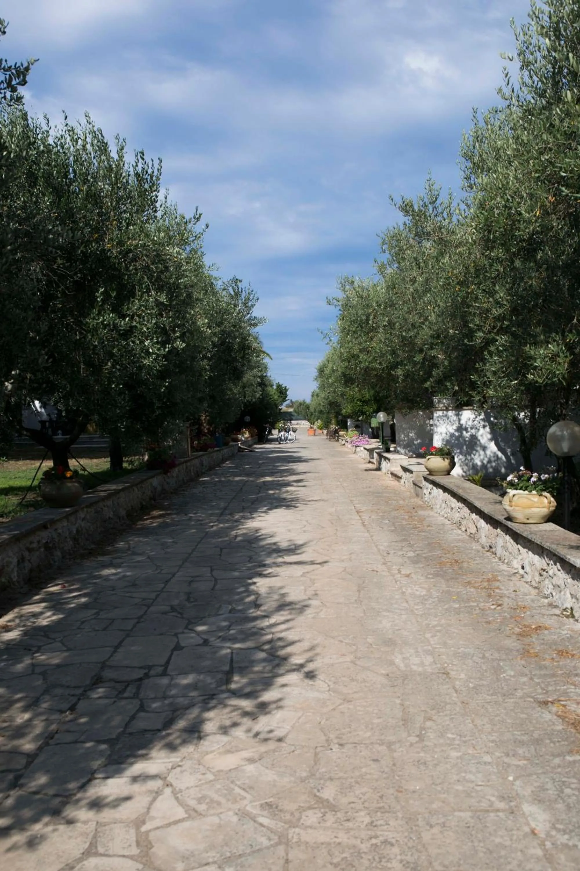 Area and facilities in Residence Conchiglia San Giovanni