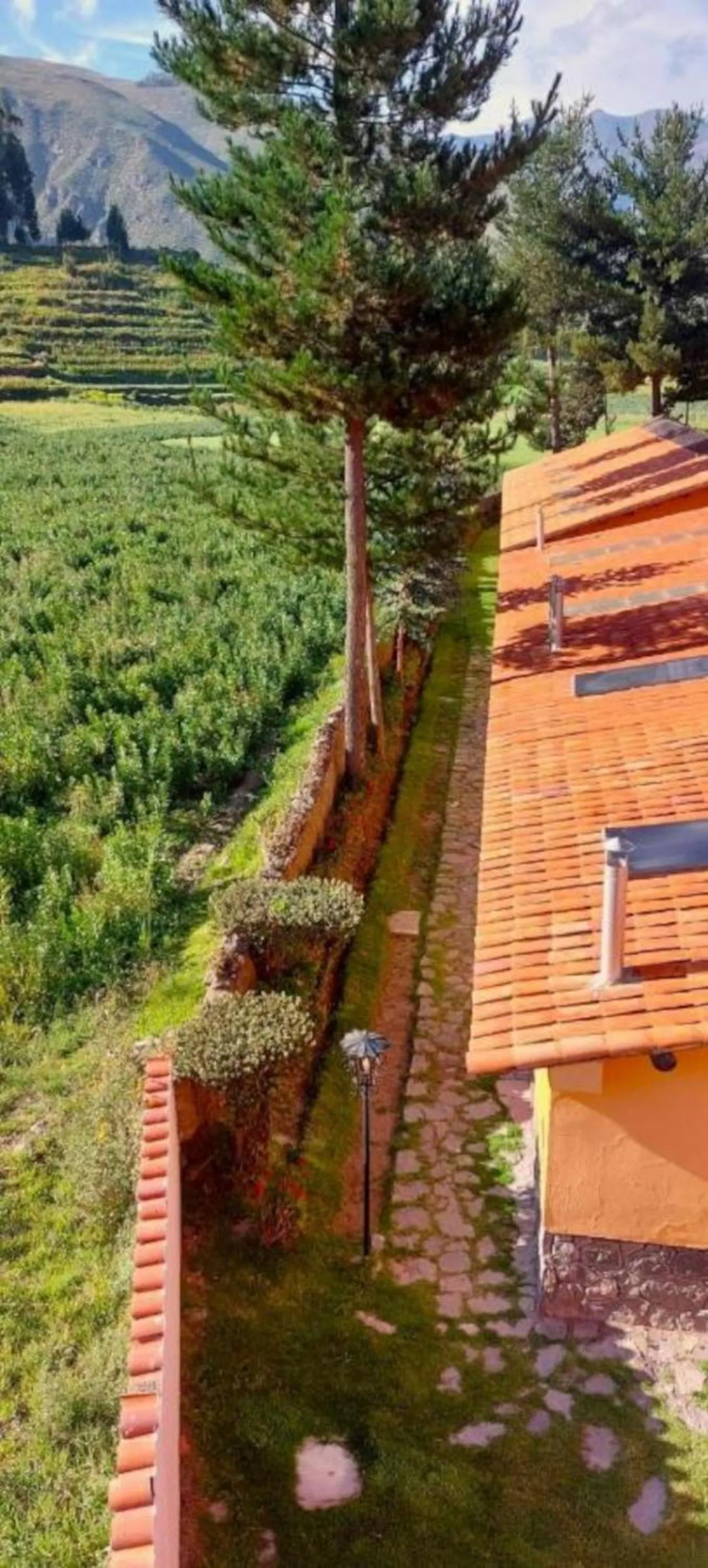 Area and facilities in Tradicion Colca