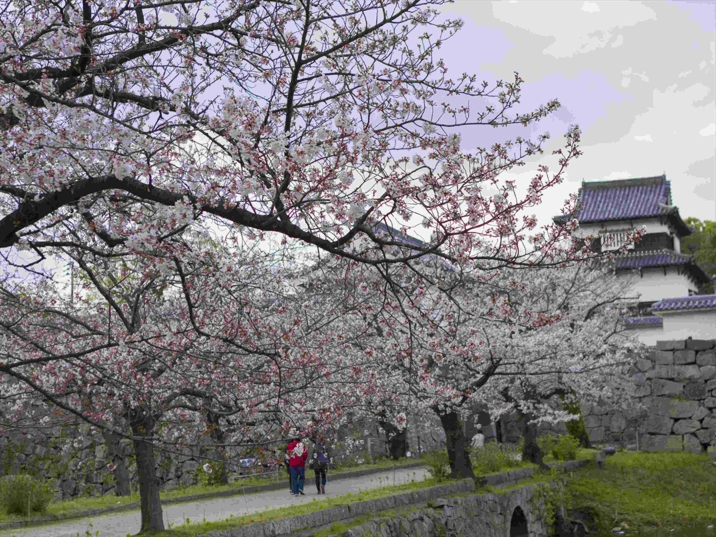 Nearby landmark in Tokyu Stay Hakata