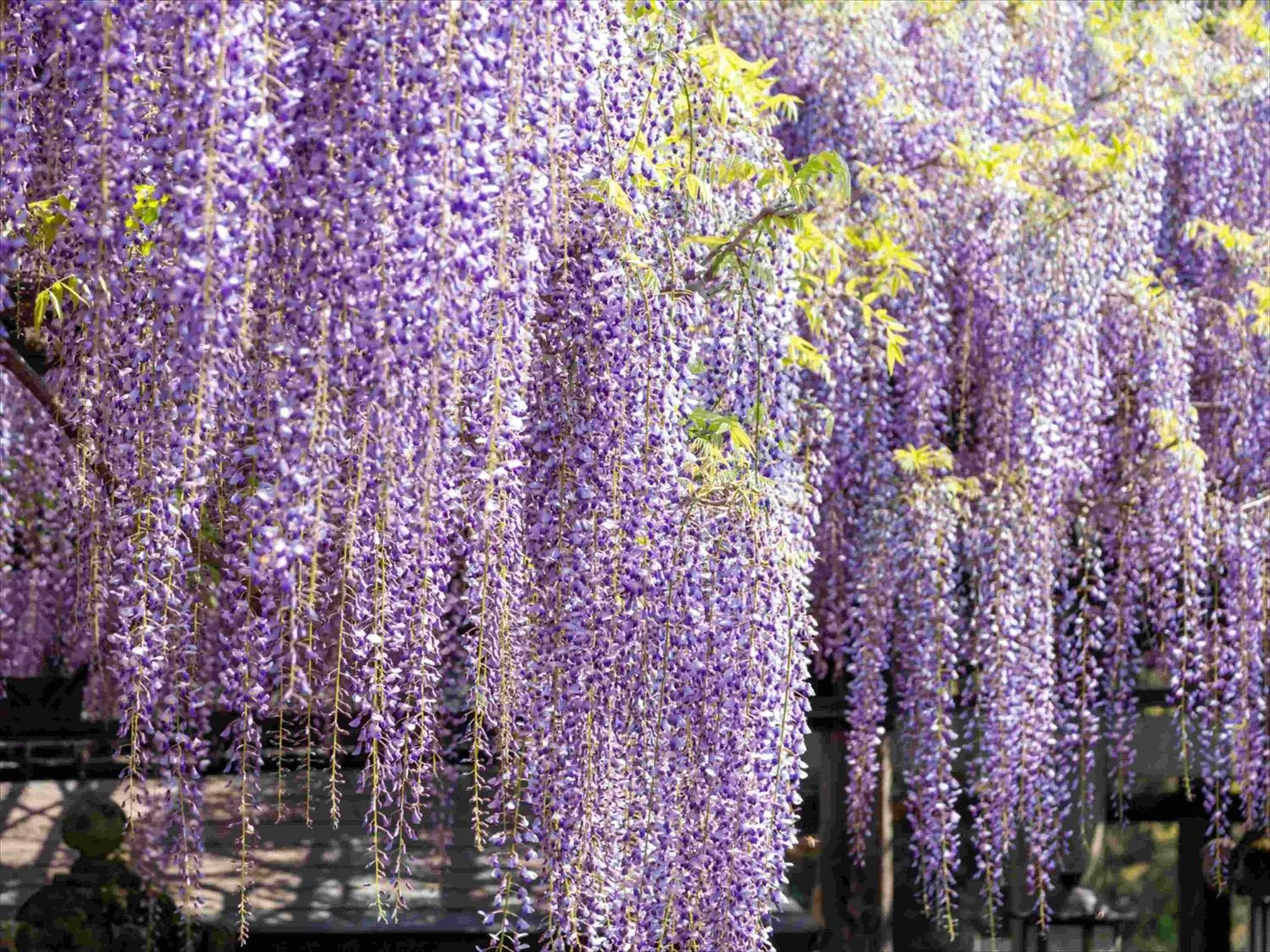 Nearby landmark in Tokyu Stay Hakata