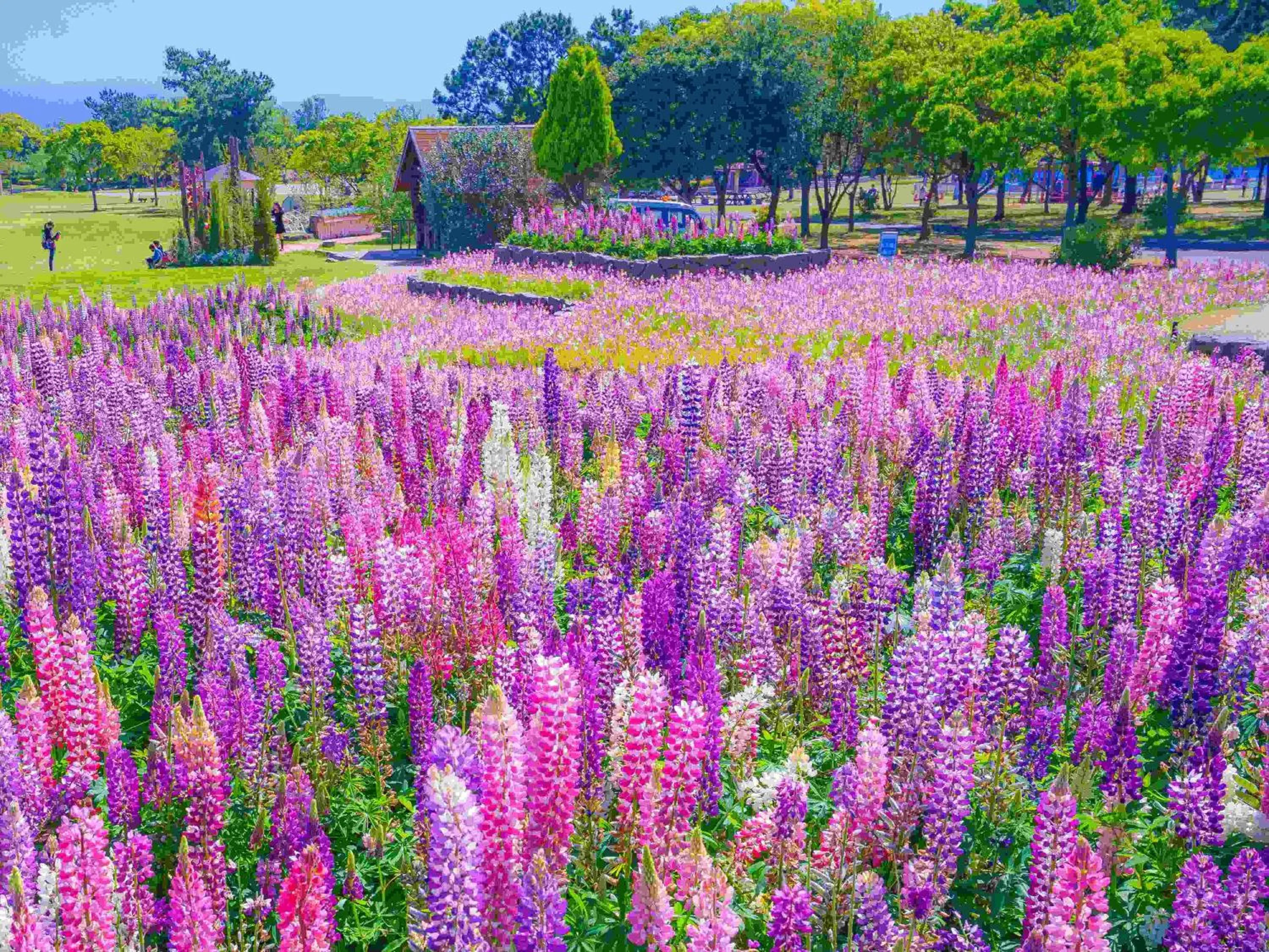Nearby landmark in Tokyu Stay Hakata