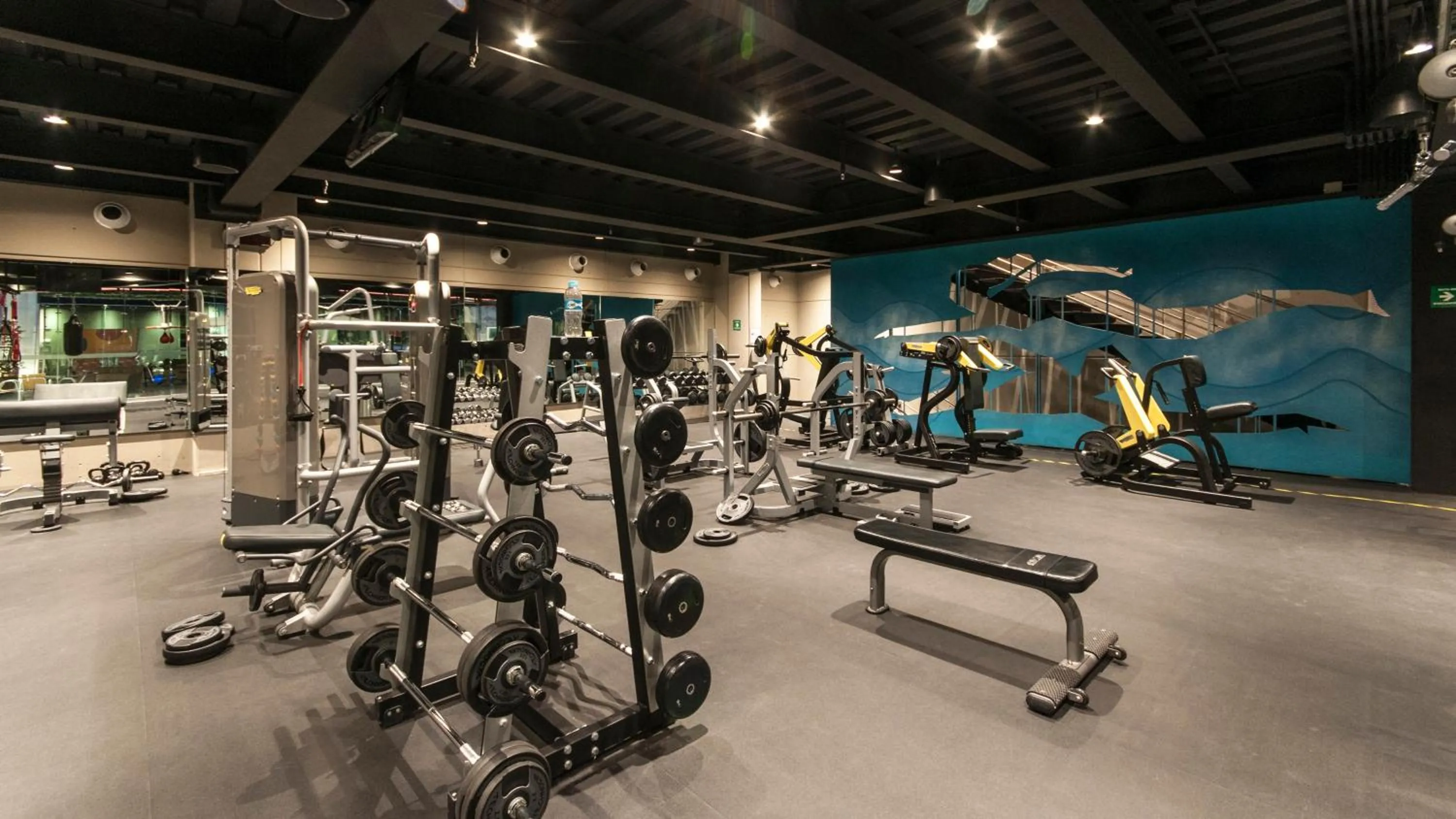 Fitness centre/facilities in Holiday Inn Mexico Zona Centro by IHG