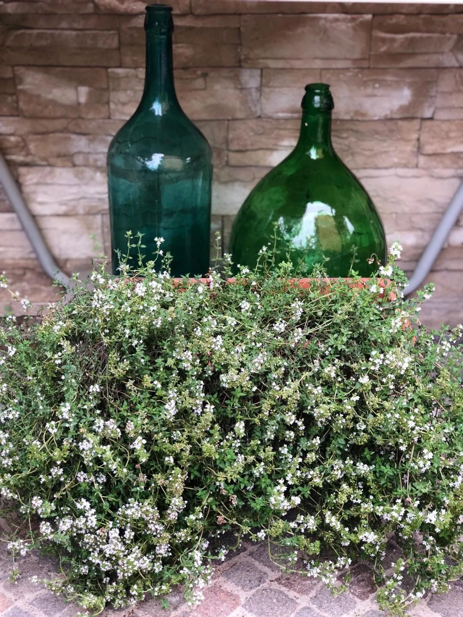 Patio in B&B La Casa Di Plinio