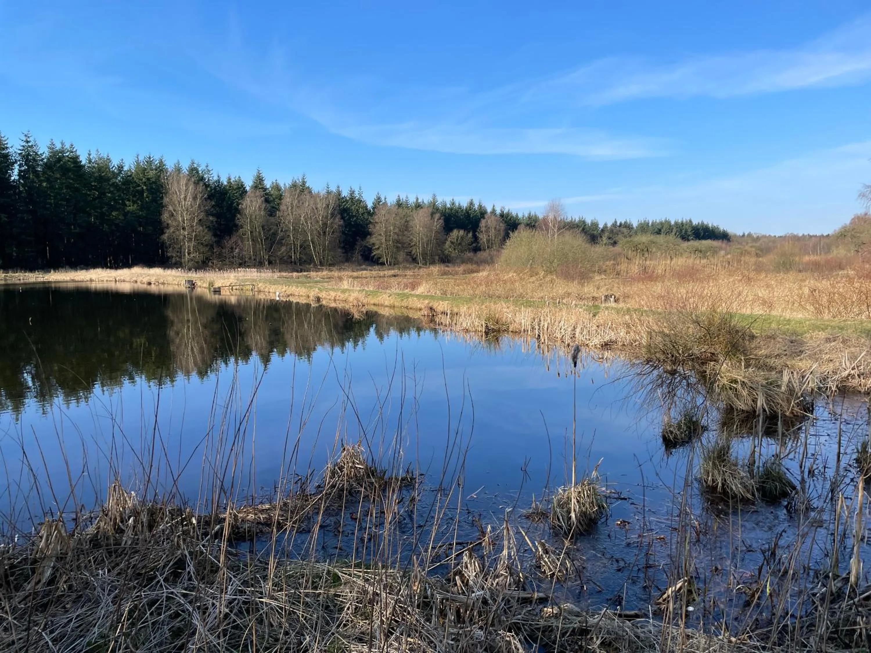Property building in Landhotel Witte-König
