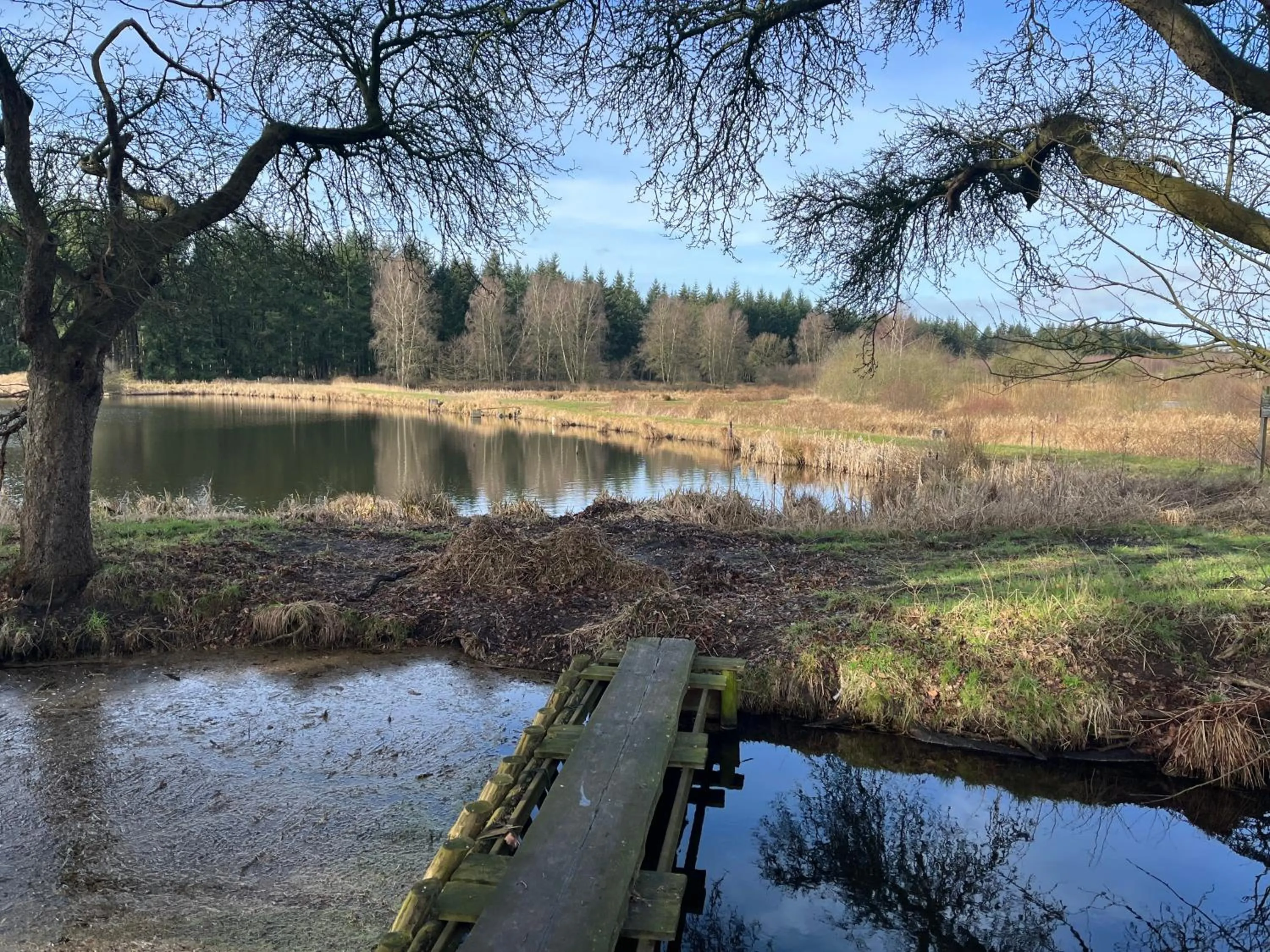 Cycling in Landhotel Witte-König