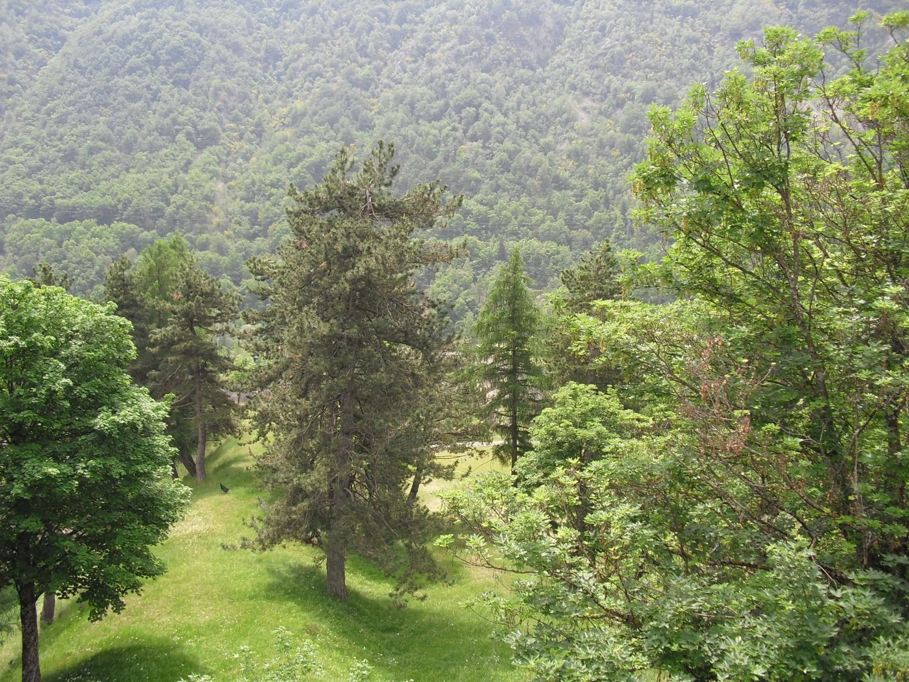 Natural landscape in Chalet Monte Nebius