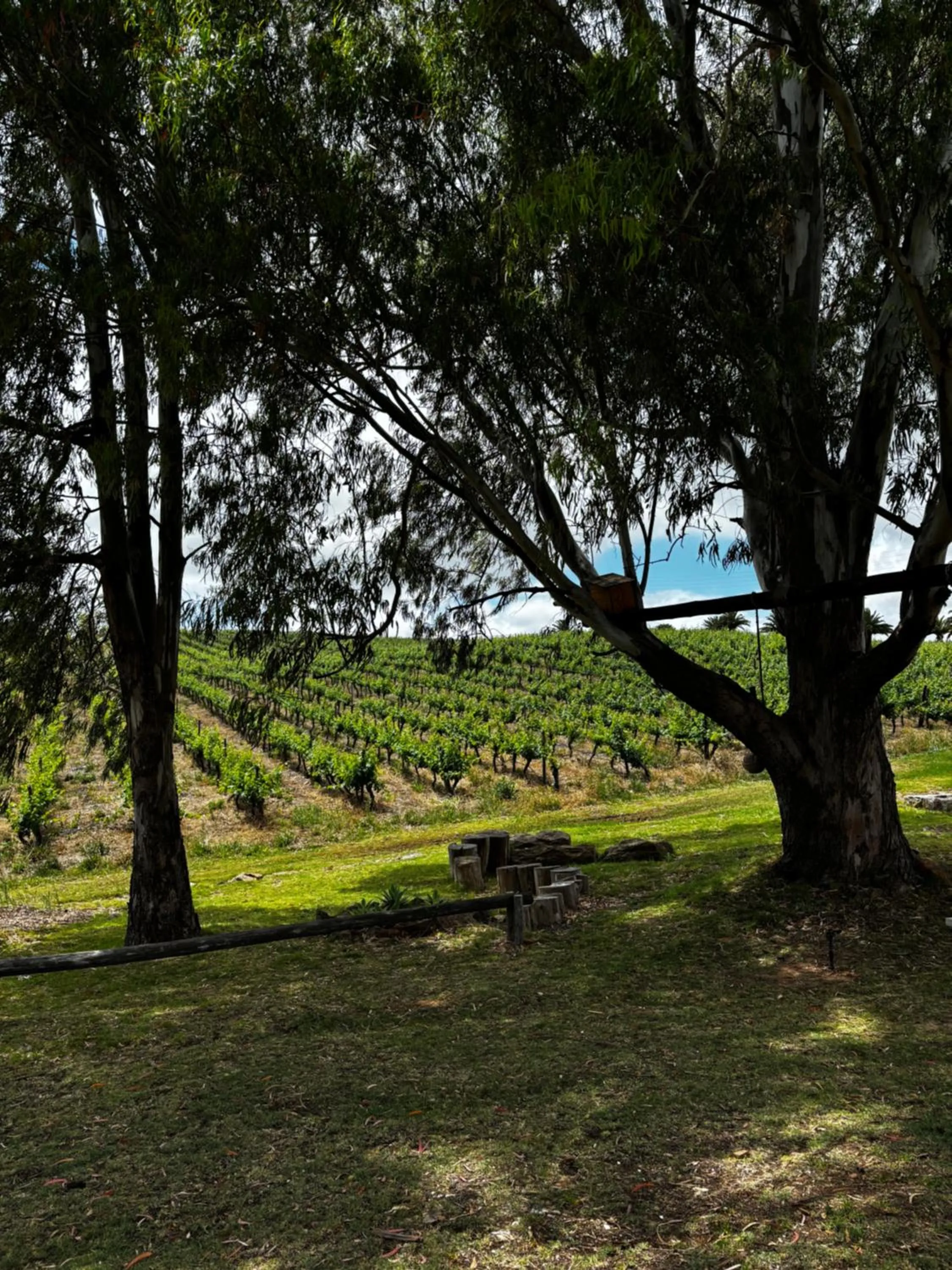 Arendsig Wine Estate & Cottages