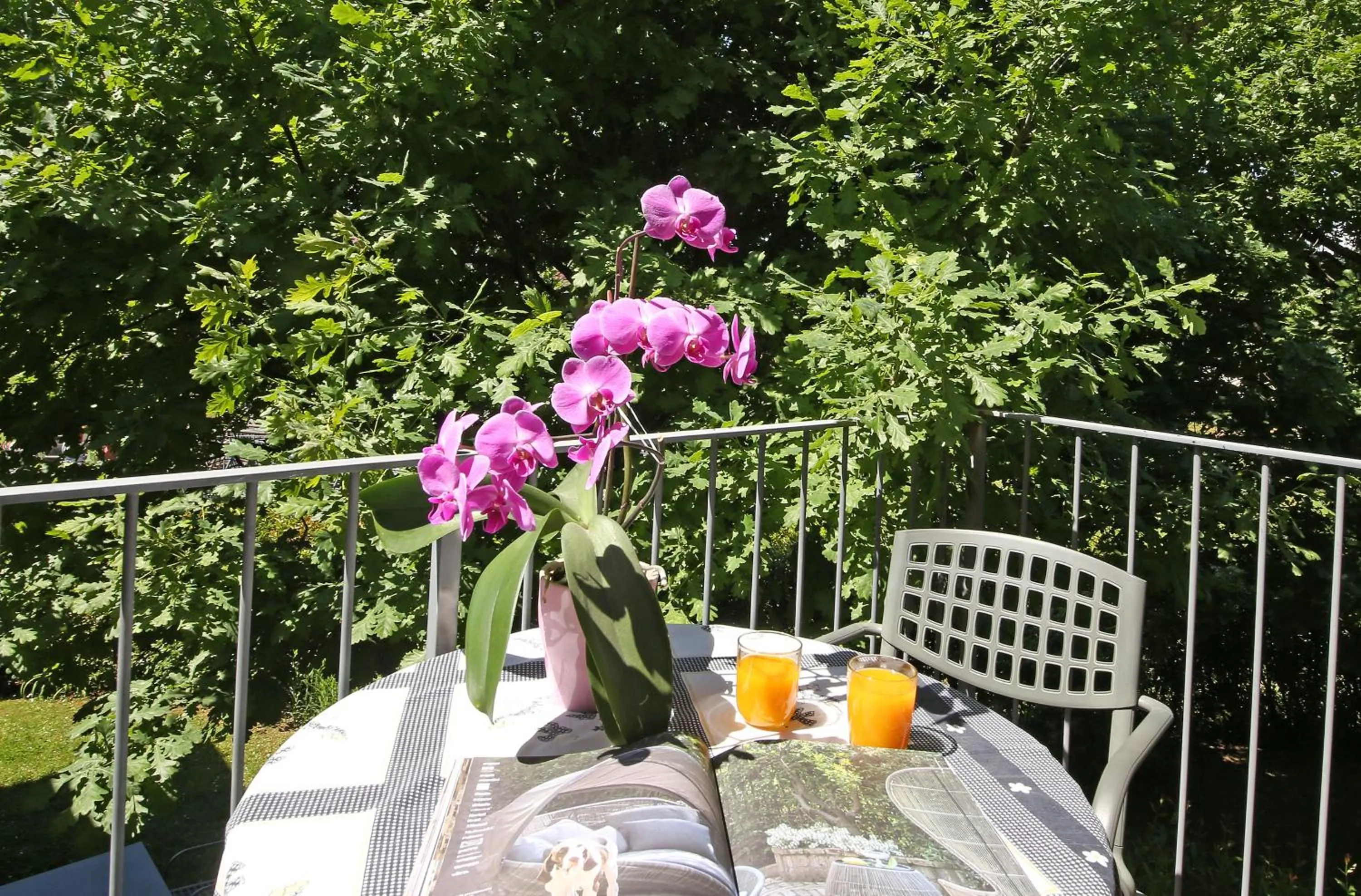 Balcony/Terrace in Residence Il Melograno
