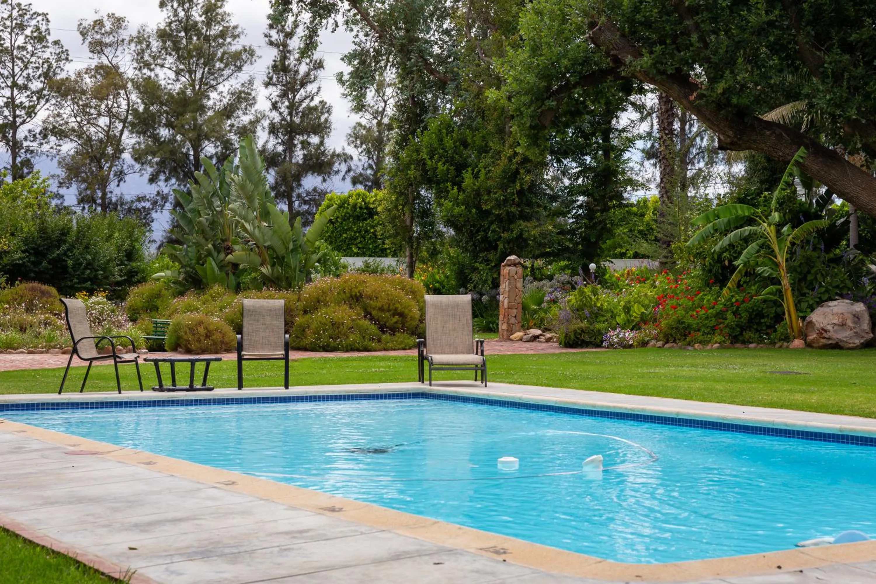 Swimming pool in Green Olive Guesthouse