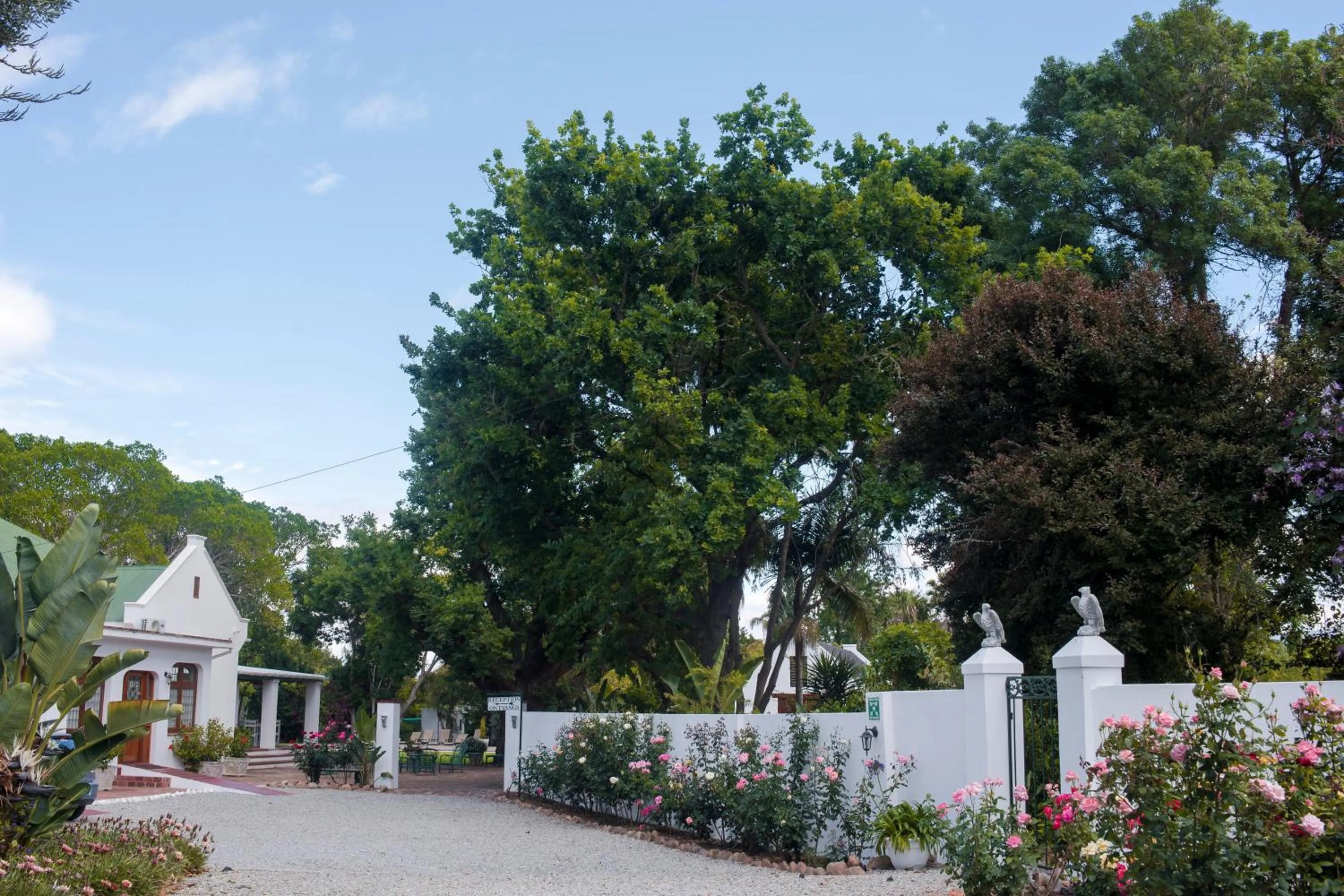 Property building in Green Olive Guesthouse