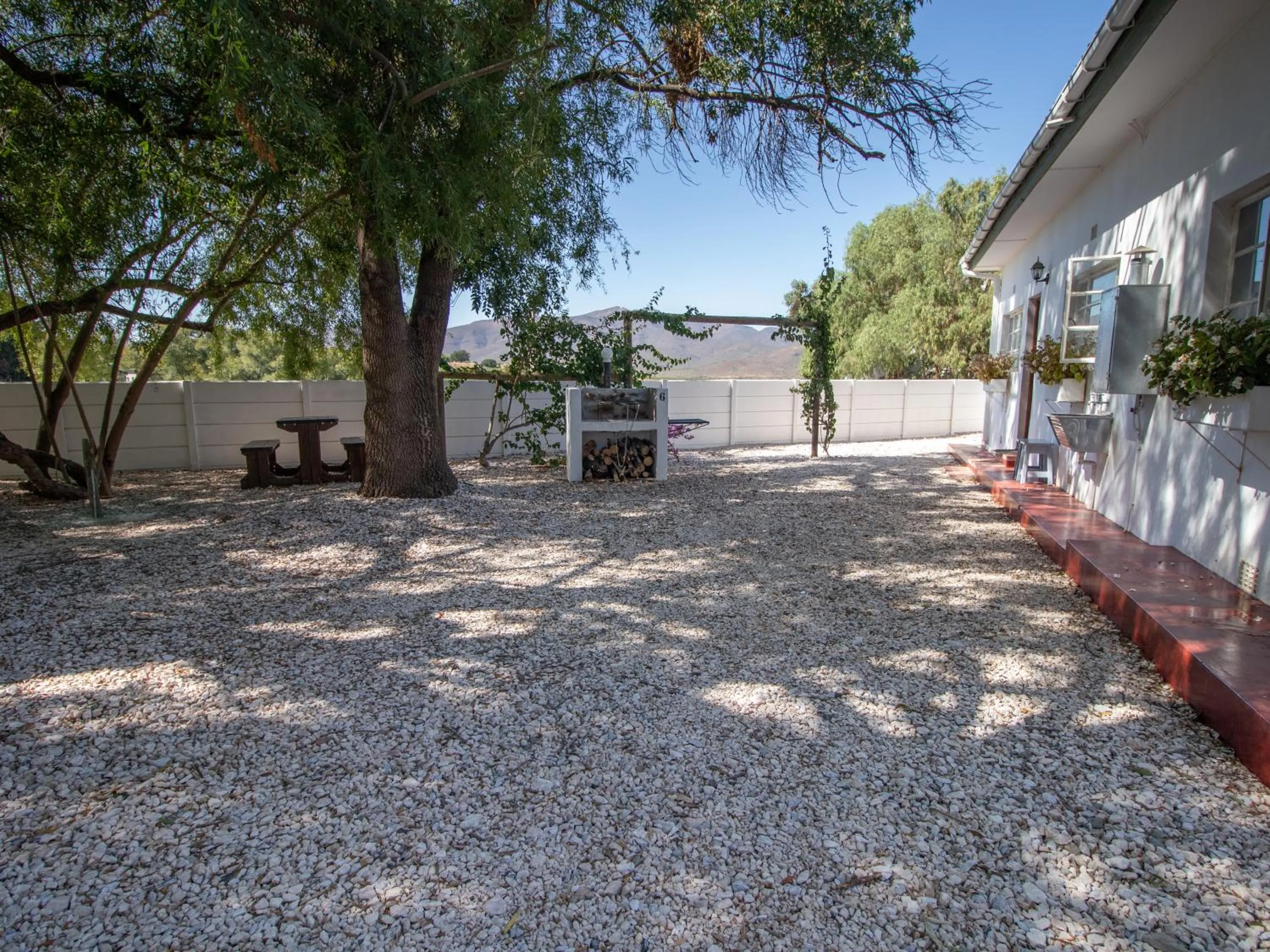 Garden in Green Olive Guesthouse