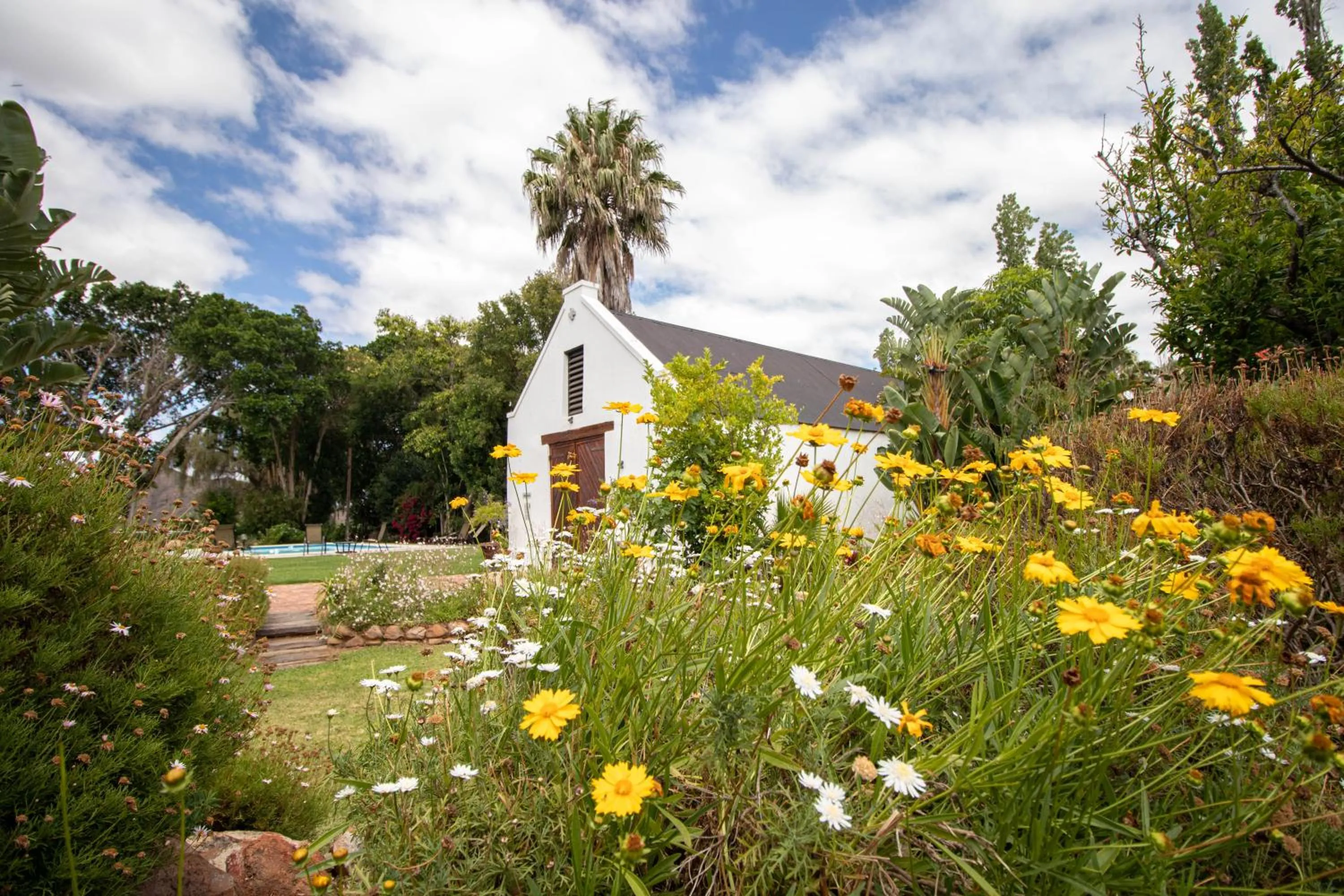 Property building in Green Olive Guesthouse